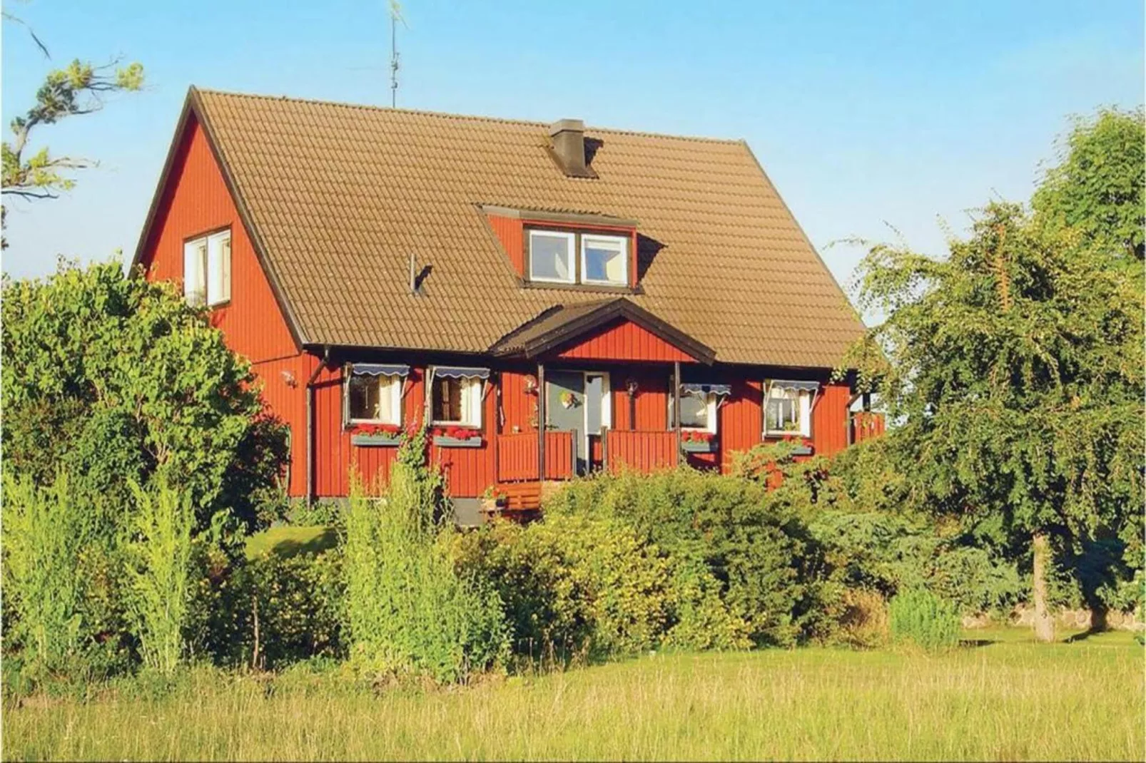 Ferienhaus de Poeler Drift 6 Personen-Gebieden zomer 1km