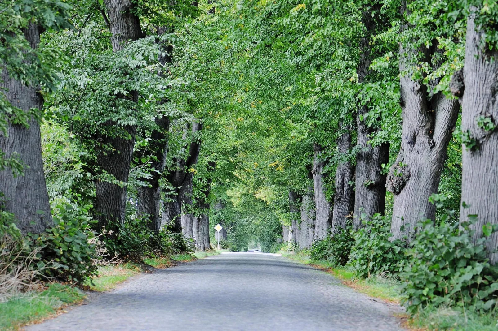 Gutshaus Zicker -Wohnung 4-Gebieden zomer 20km