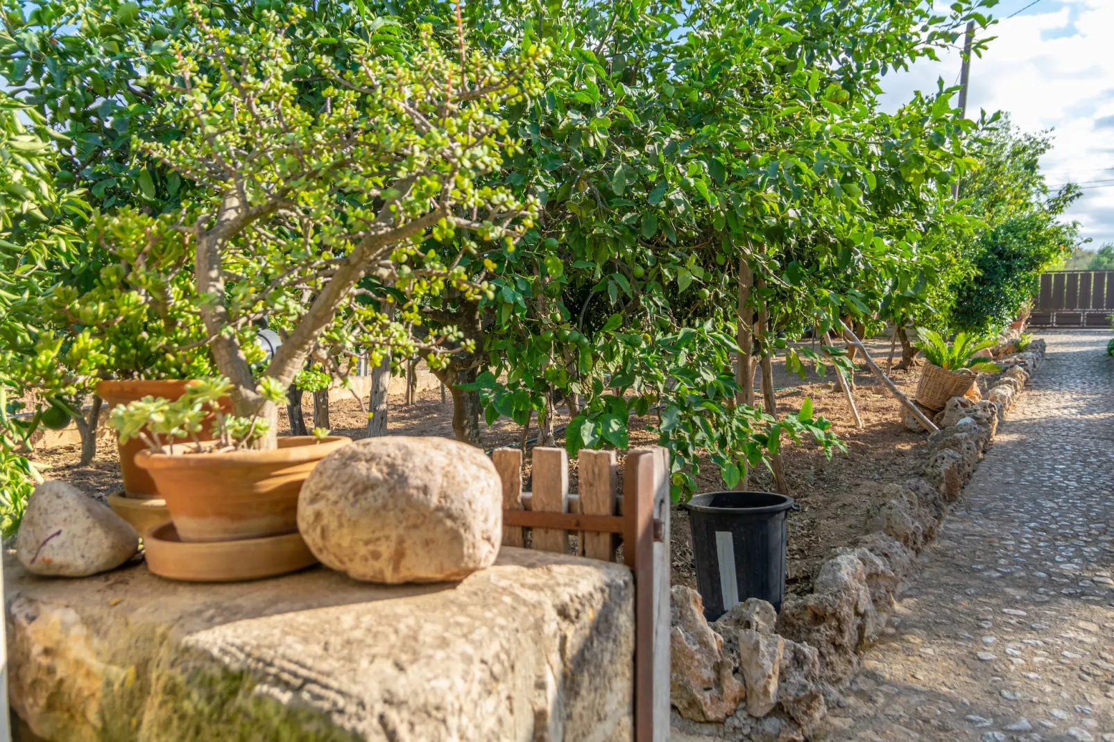 Finca Son Matginet 18-Sfeer