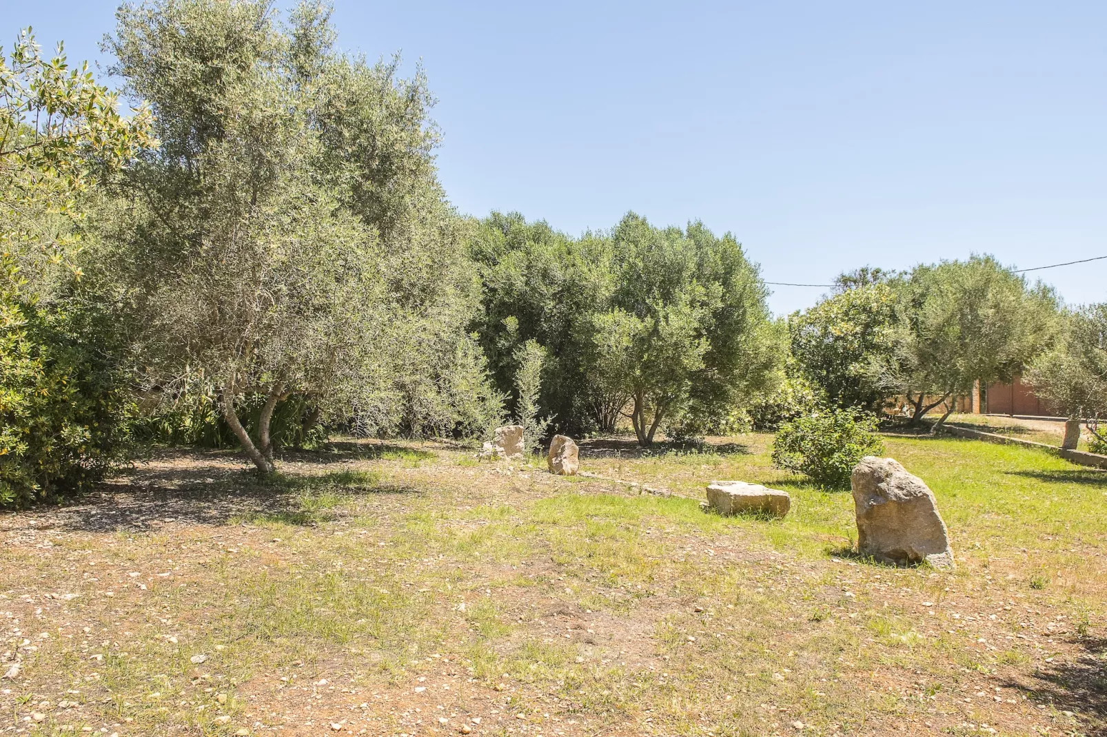 Finca Sa Plana-Tuinen zomer