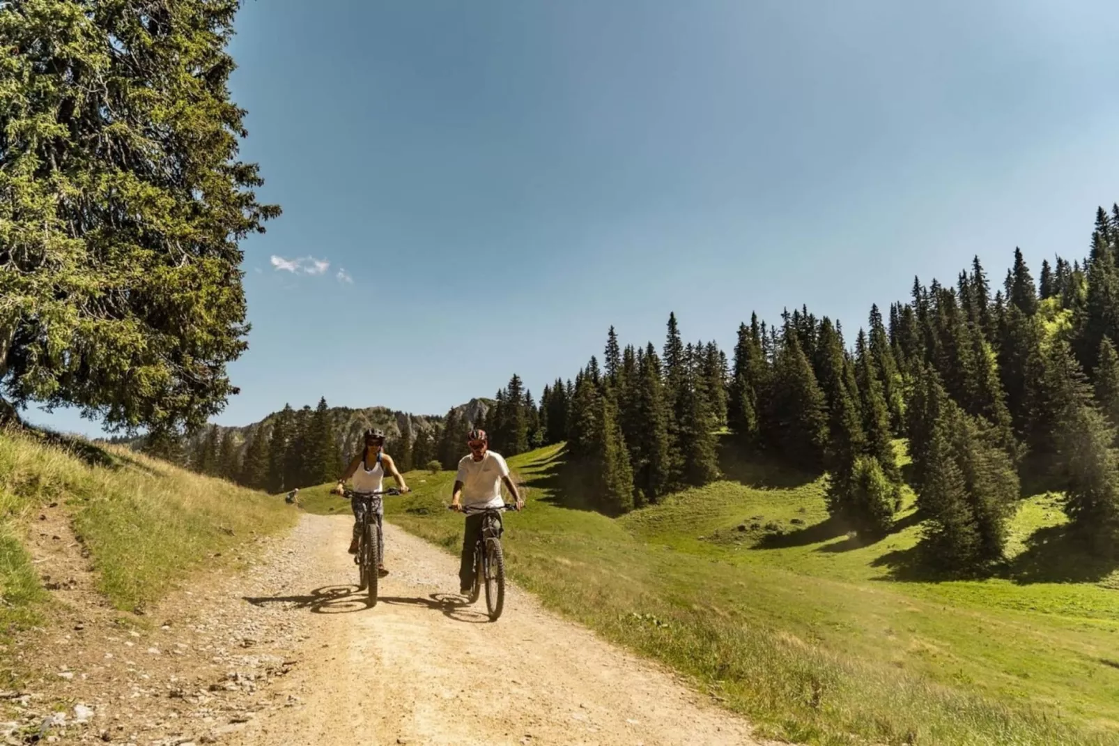 Chalet Ours Brun ORB MOUNTAIN & QUIET 6 Pers.-Niet-getagd