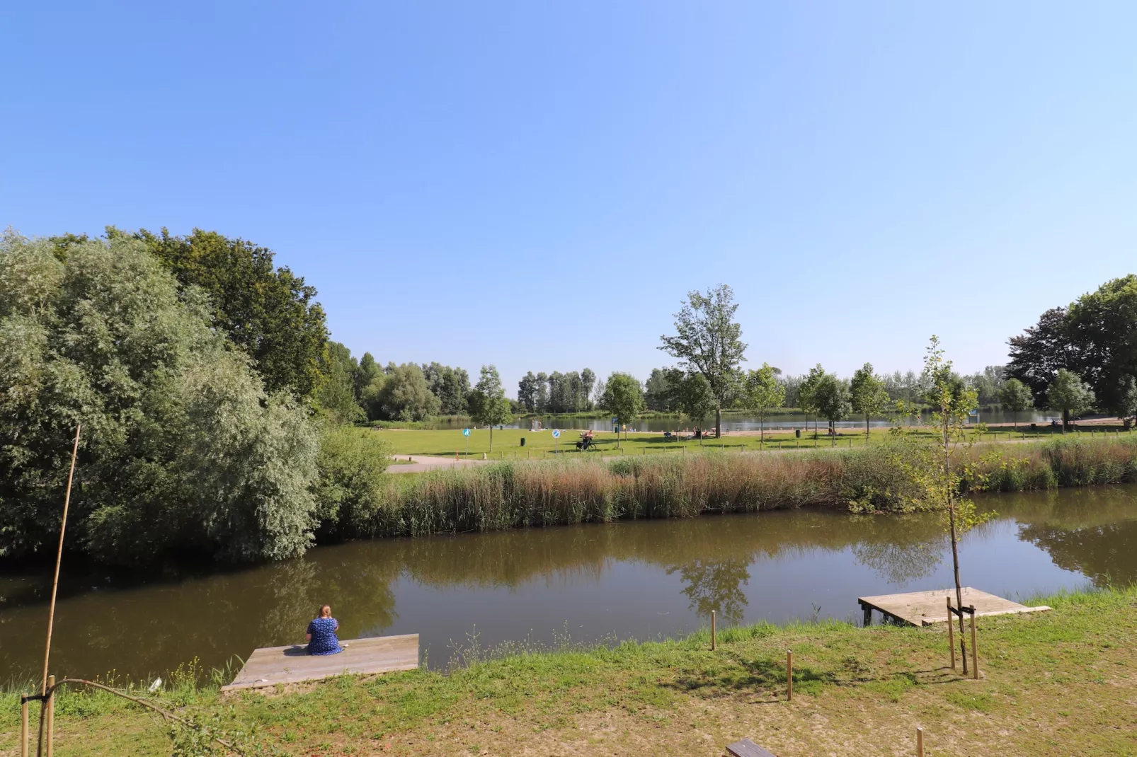 Kuifduiker 122-Gebieden zomer 5km