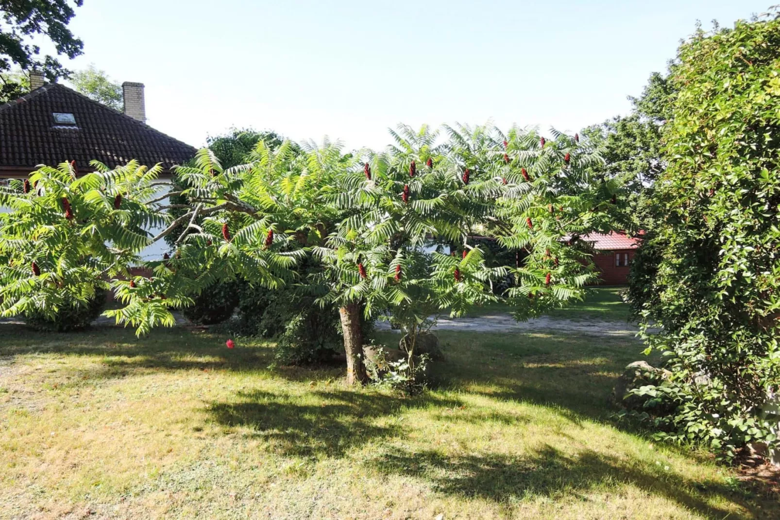 Bungalows, Lubin-Typ B (Henryk)-Tuinen zomer
