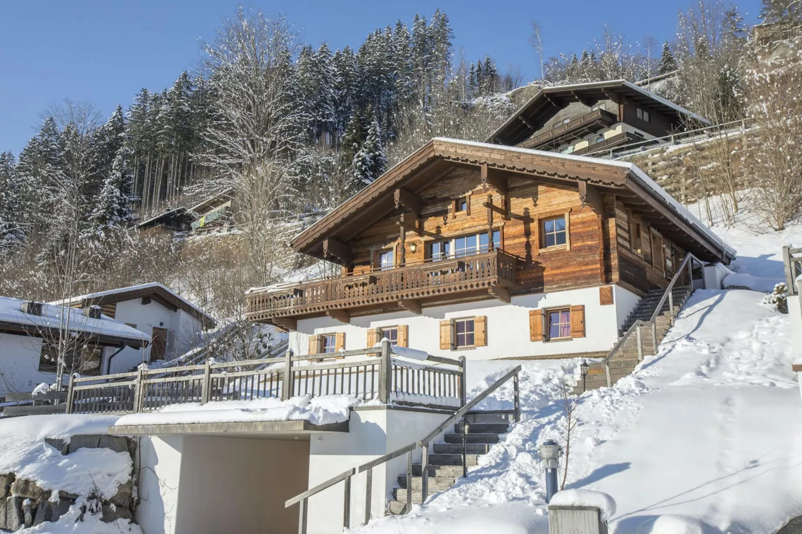 Chalets im Wald-Exterieur winter