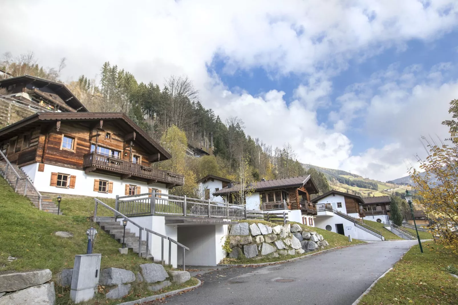 Chalets im Wald-Gebieden zomer 1km