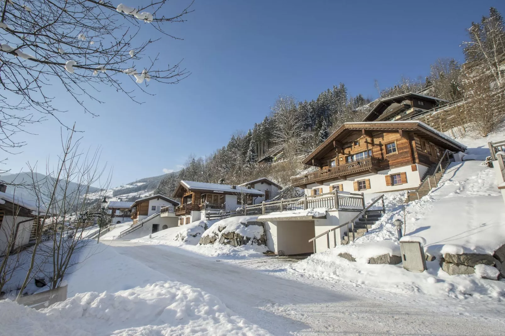 Chalets im Wald-Exterieur winter