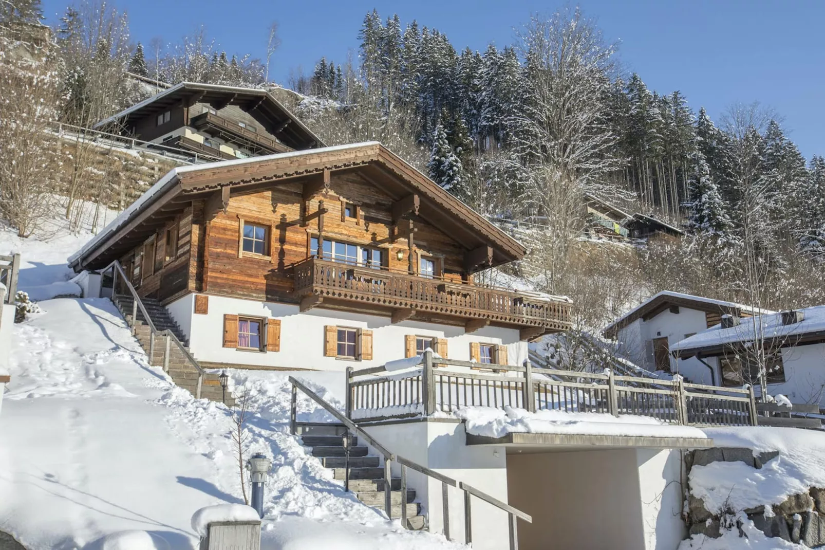 Chalets im Wald-Exterieur winter