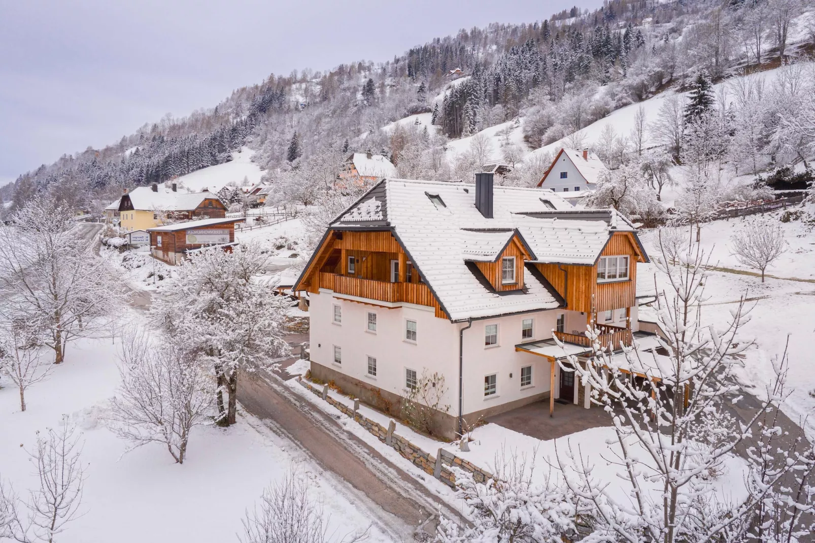 Vitalhof am Kreischberg 2-Exterieur winter