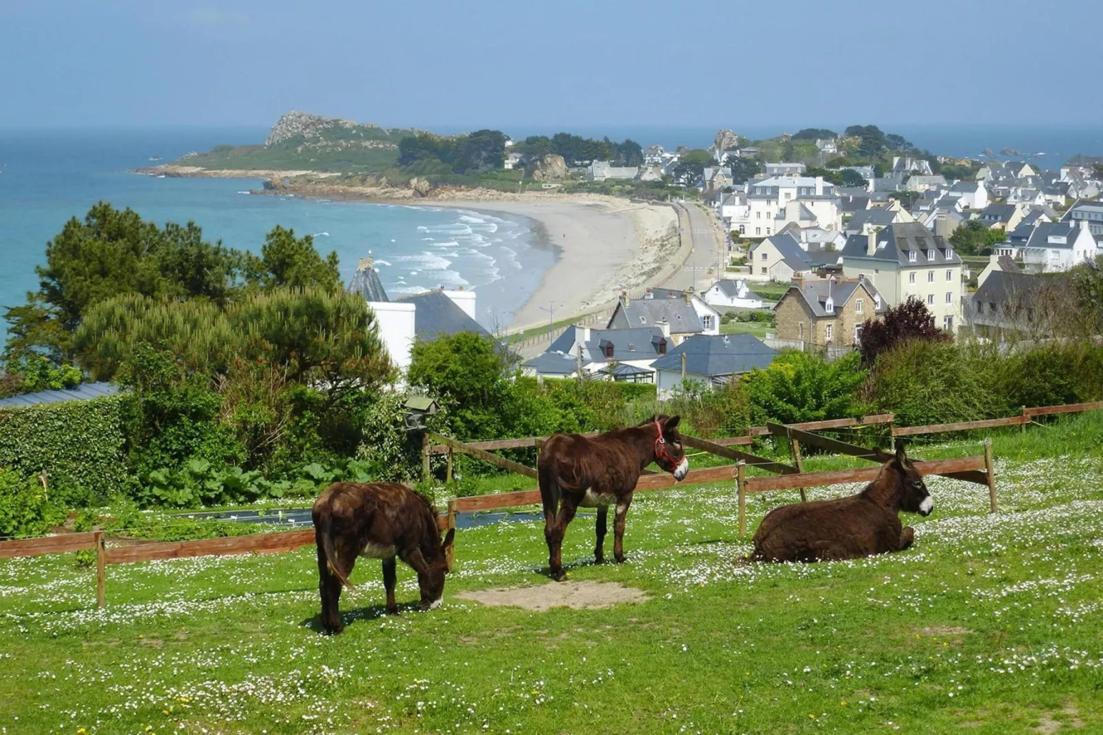 Natural stone cottage with garden and sea view on Breton estate Plougasnou-Gebieden zomer 5km