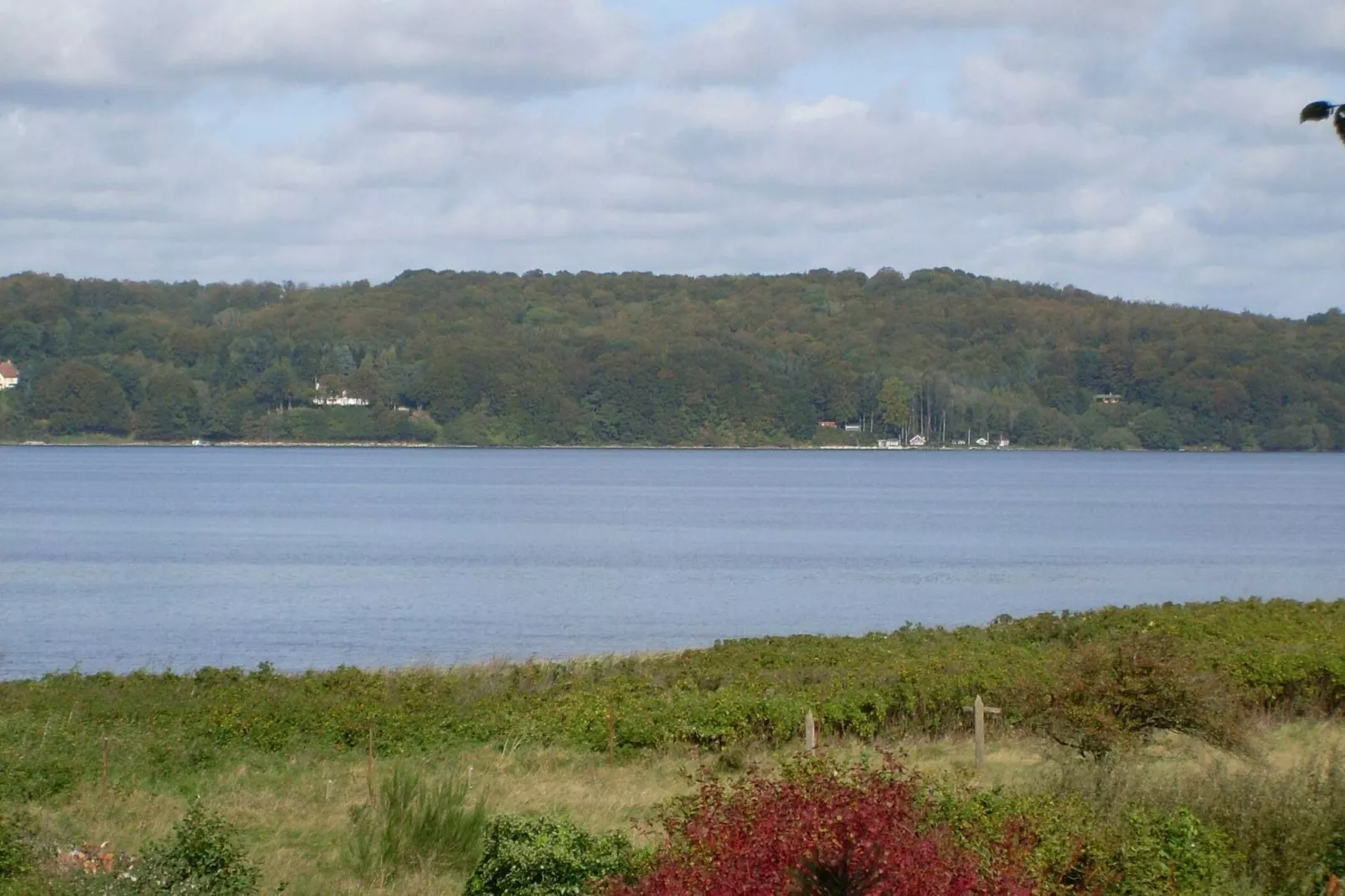 Panoramisch toevluchtsoord in Andkaer Vig -- By Traum Ferienwohnungen-Uitzicht