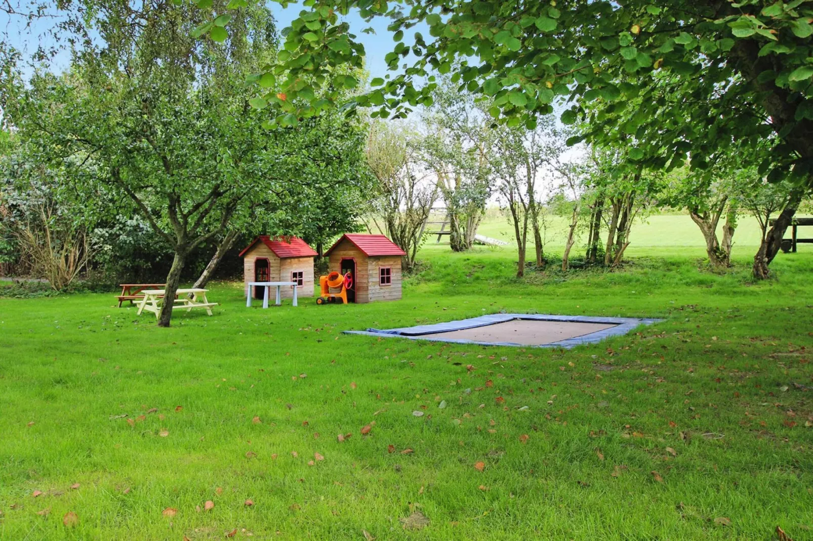 Ferienhaus Mohnblume-Tuinen zomer