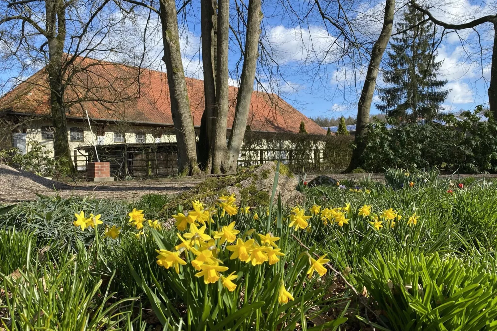 Lüneburger Heide-Parkfaciliteiten