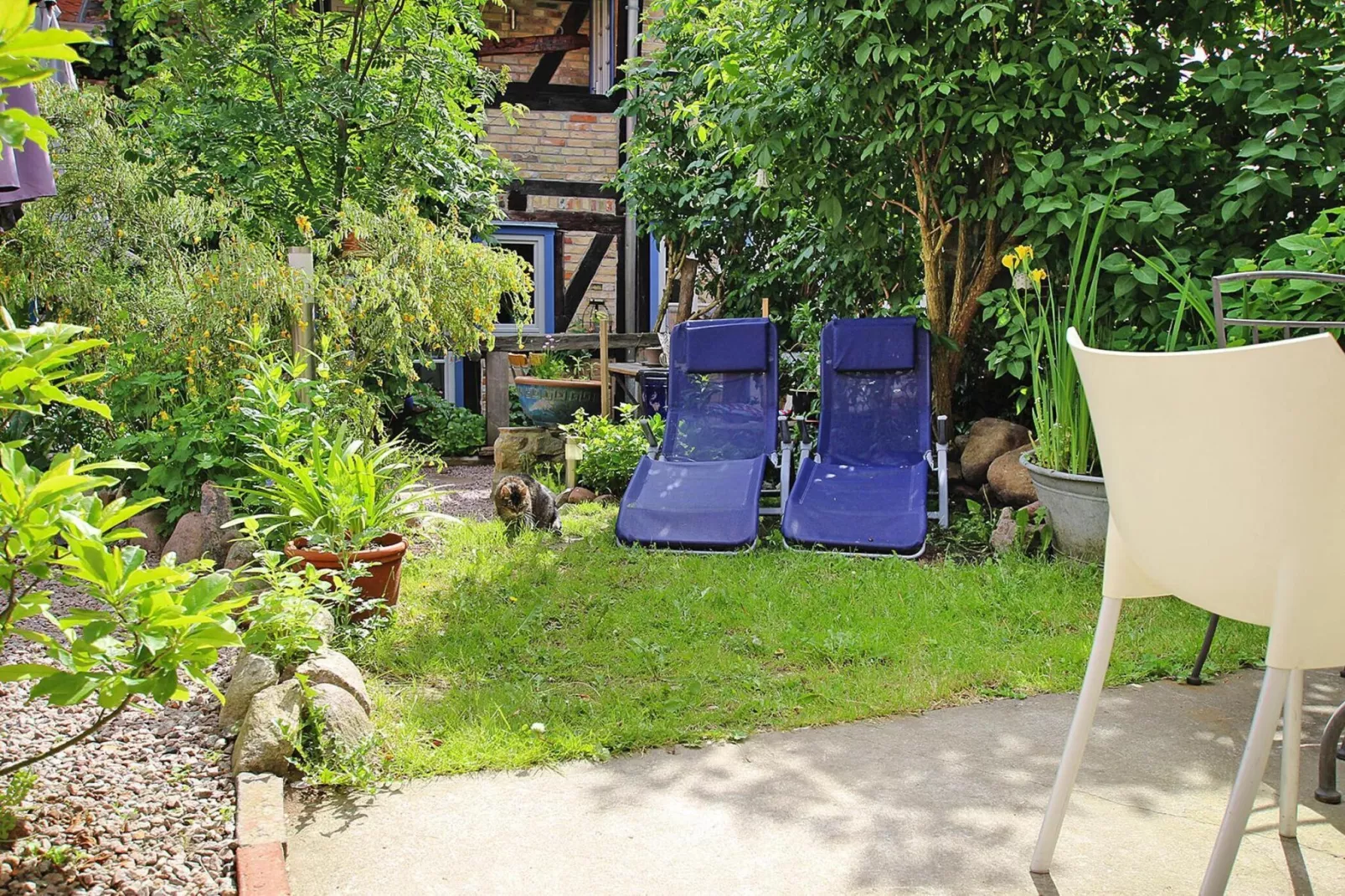 Wallstraße 47 qm Plau am See-Tuinen zomer