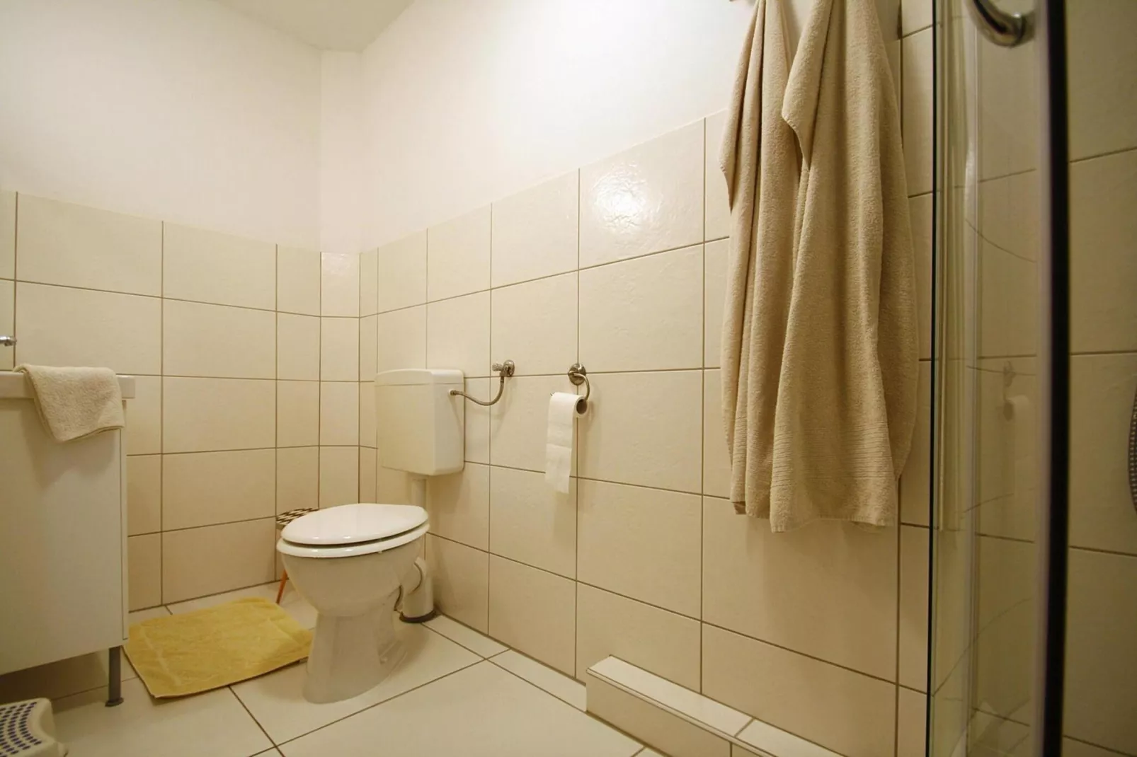 Wallstraße 47 qm Plau am See-Badkamer