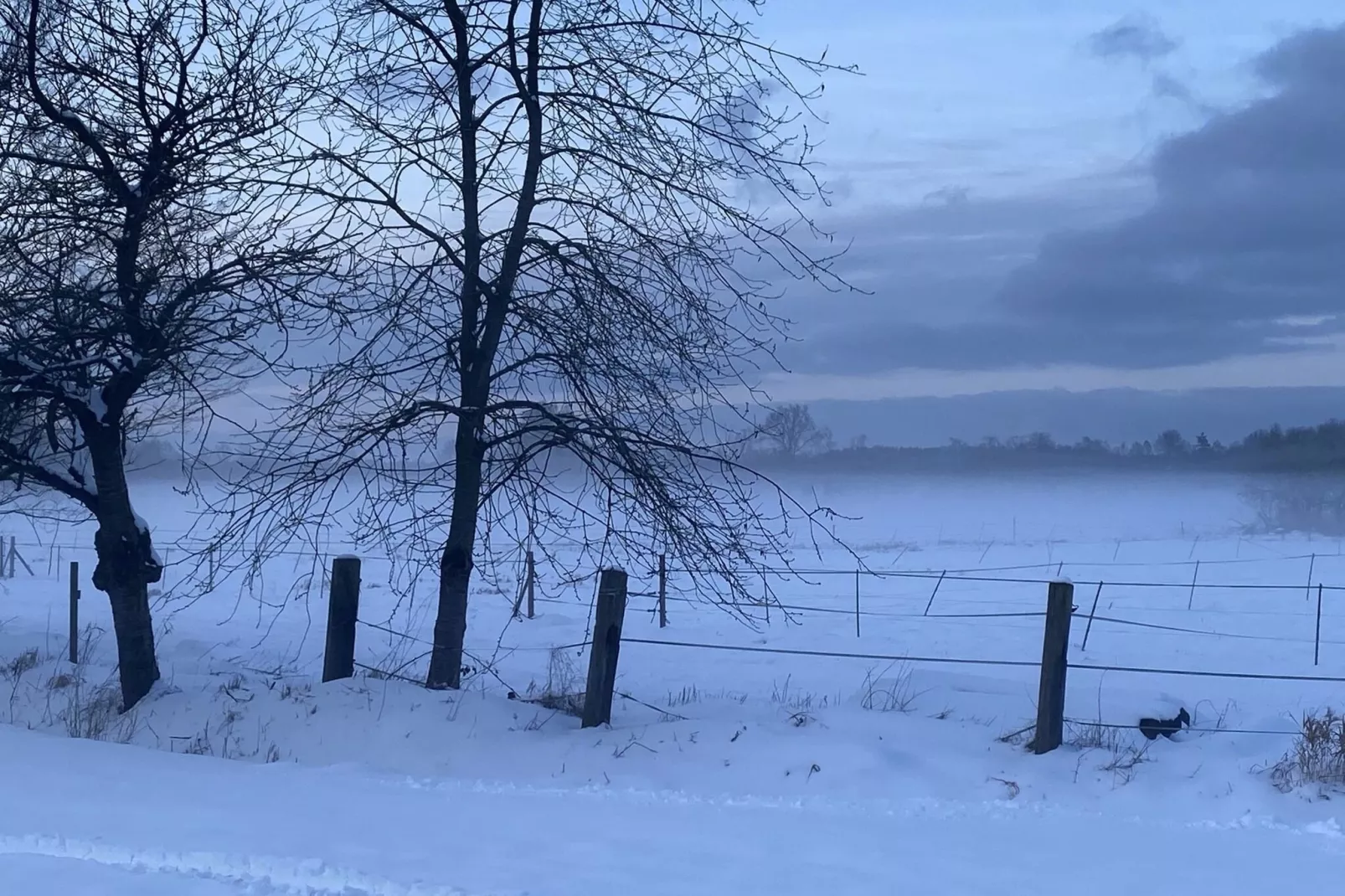 Lüneburger Heide-Gebied winter 1km