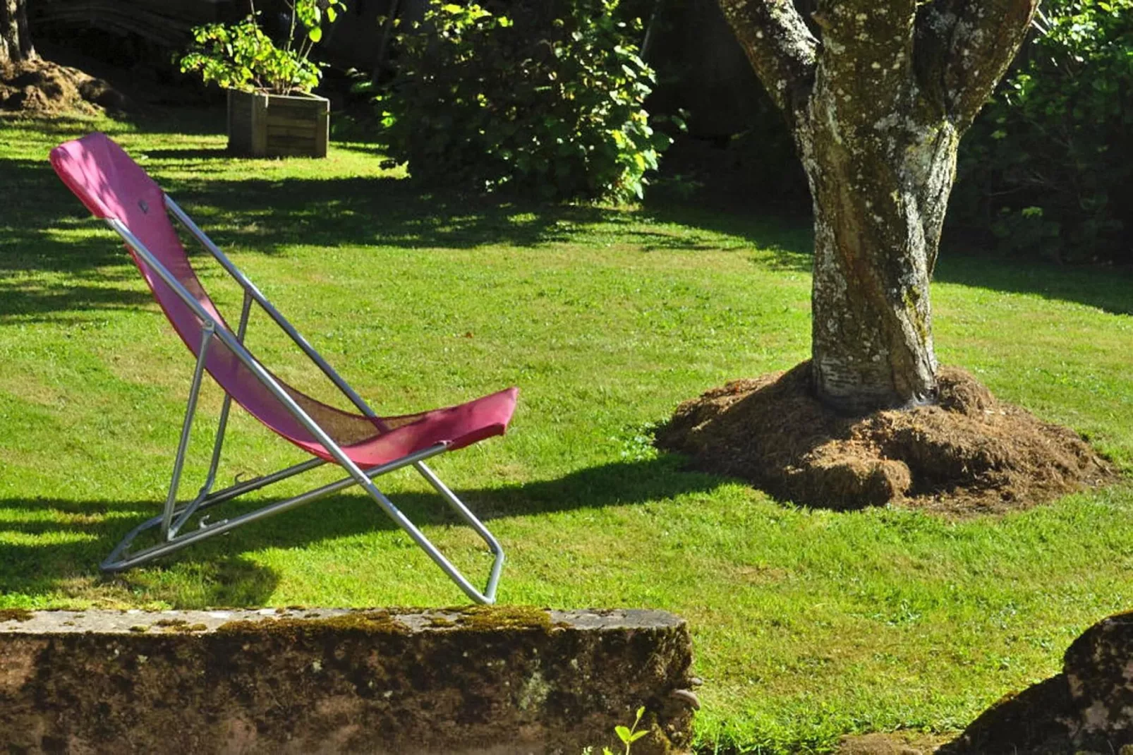 gardensummer