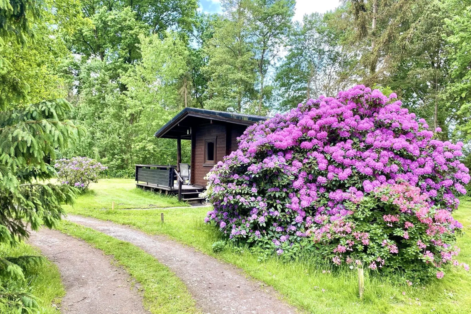 Lüneburger Heide