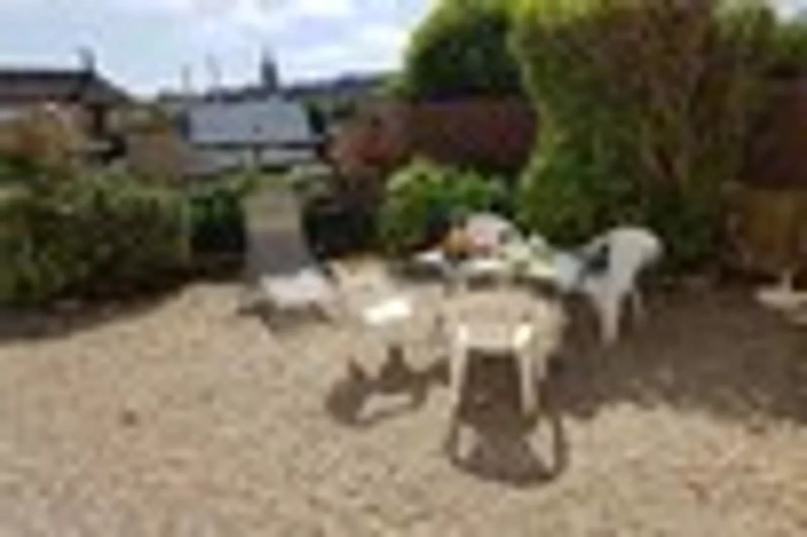 Holiday flat, Arromanches-les-Bains-SLOOP - app. au rez-de-chaussée-Tuinen zomer