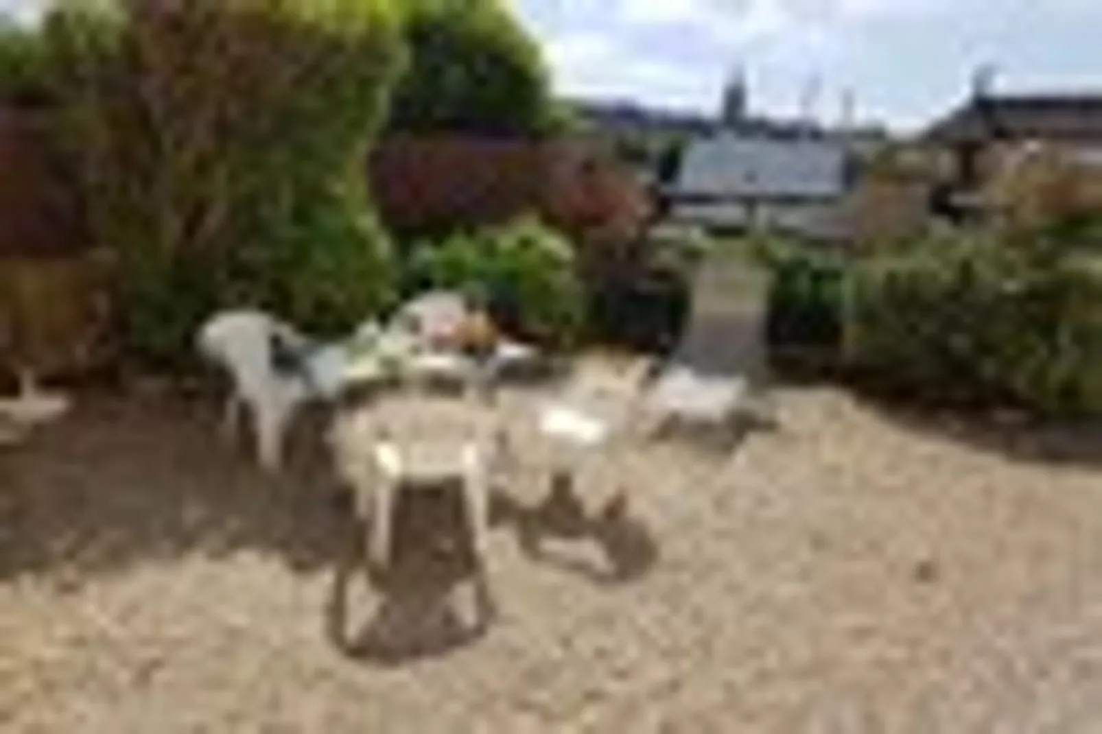 Holiday flat, Arromanches-les-Bains-SLOOP - app. au rez-de-chaussée-Tuinen zomer