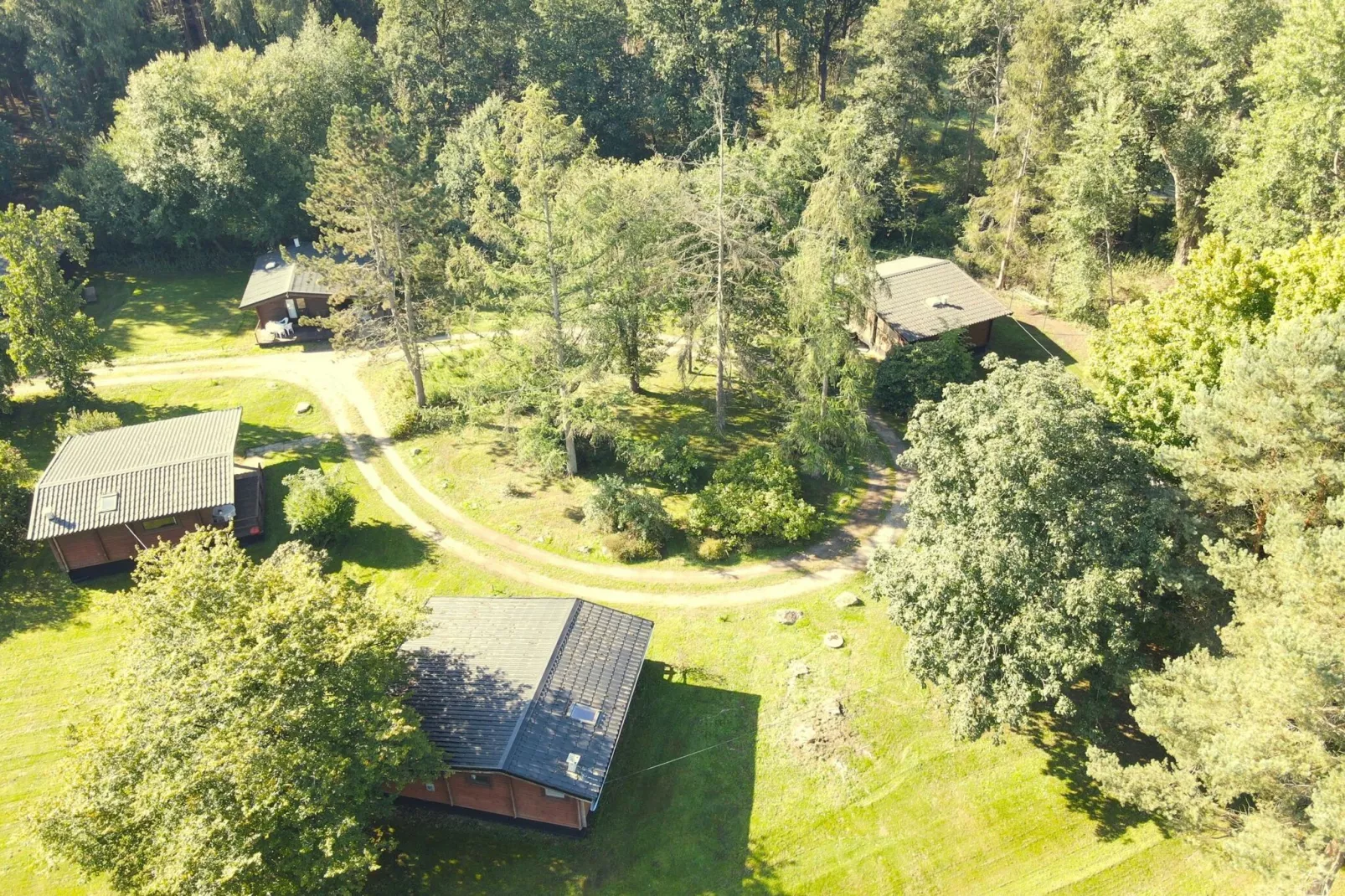 Lüneburger Heide-Uitzicht zomer