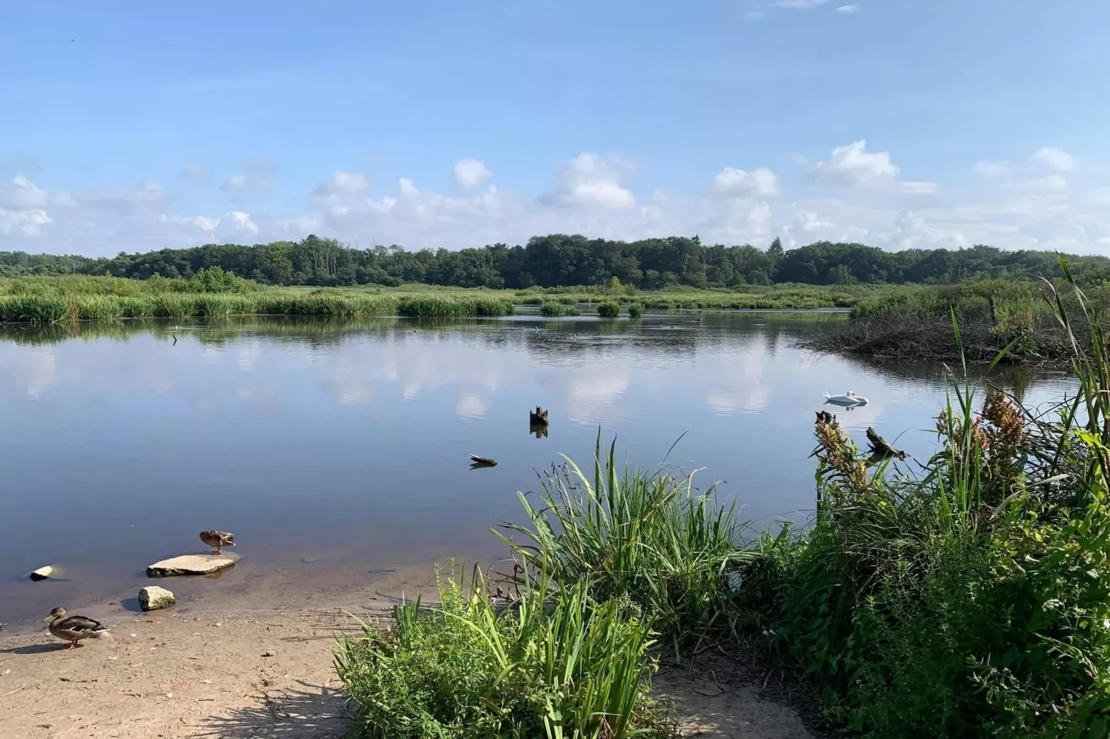 Domek piętrowy TYP C Ustronie Morskie-Uitzicht zomer