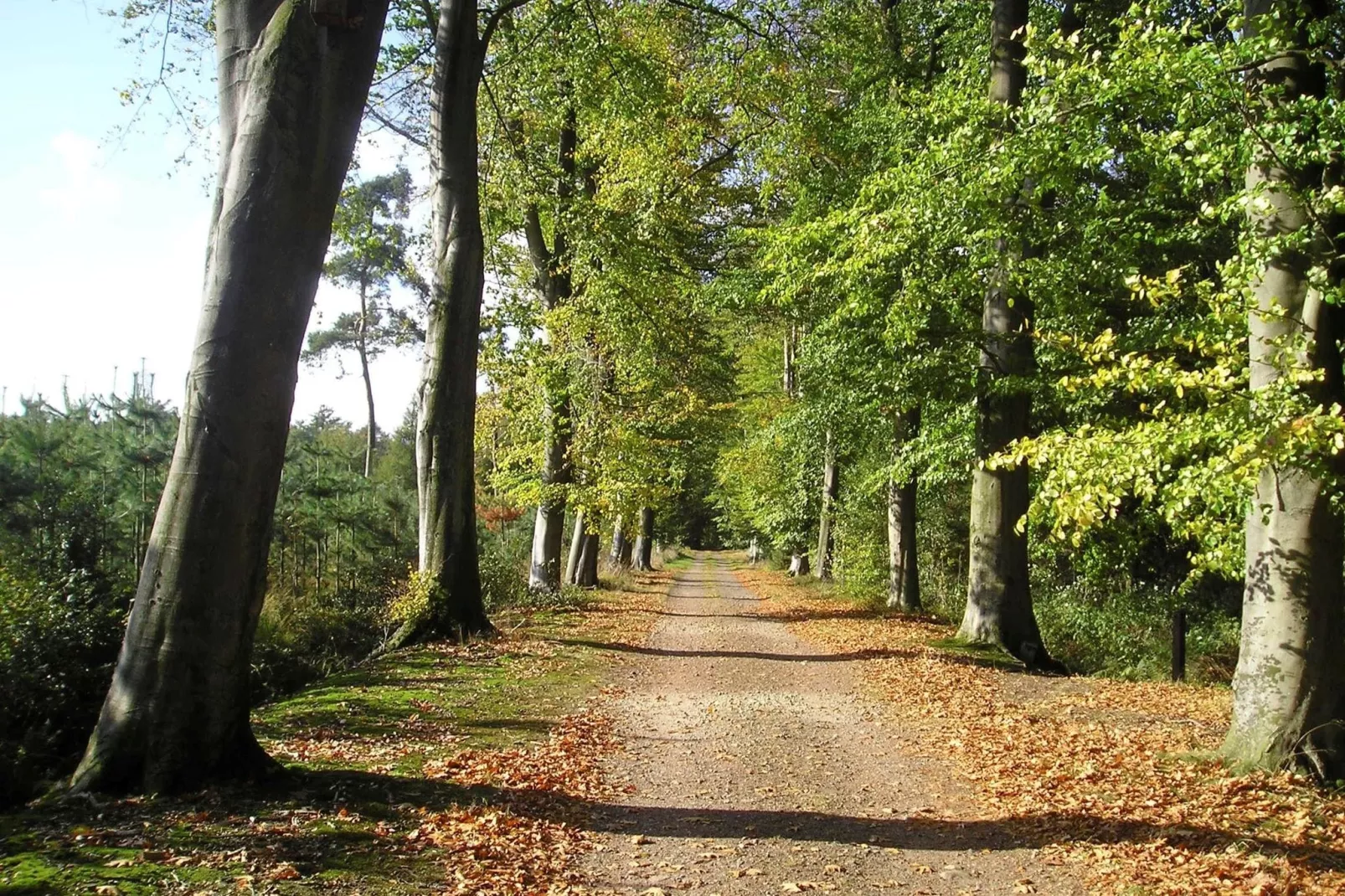 Ferienresort Bad Bentheim 19-Gebieden zomer 20km