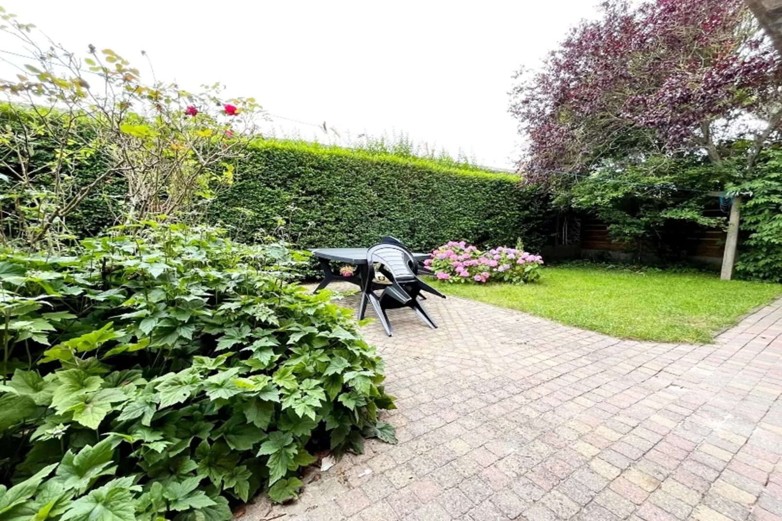 RINGLAAN 104 WONING-Tuinen zomer