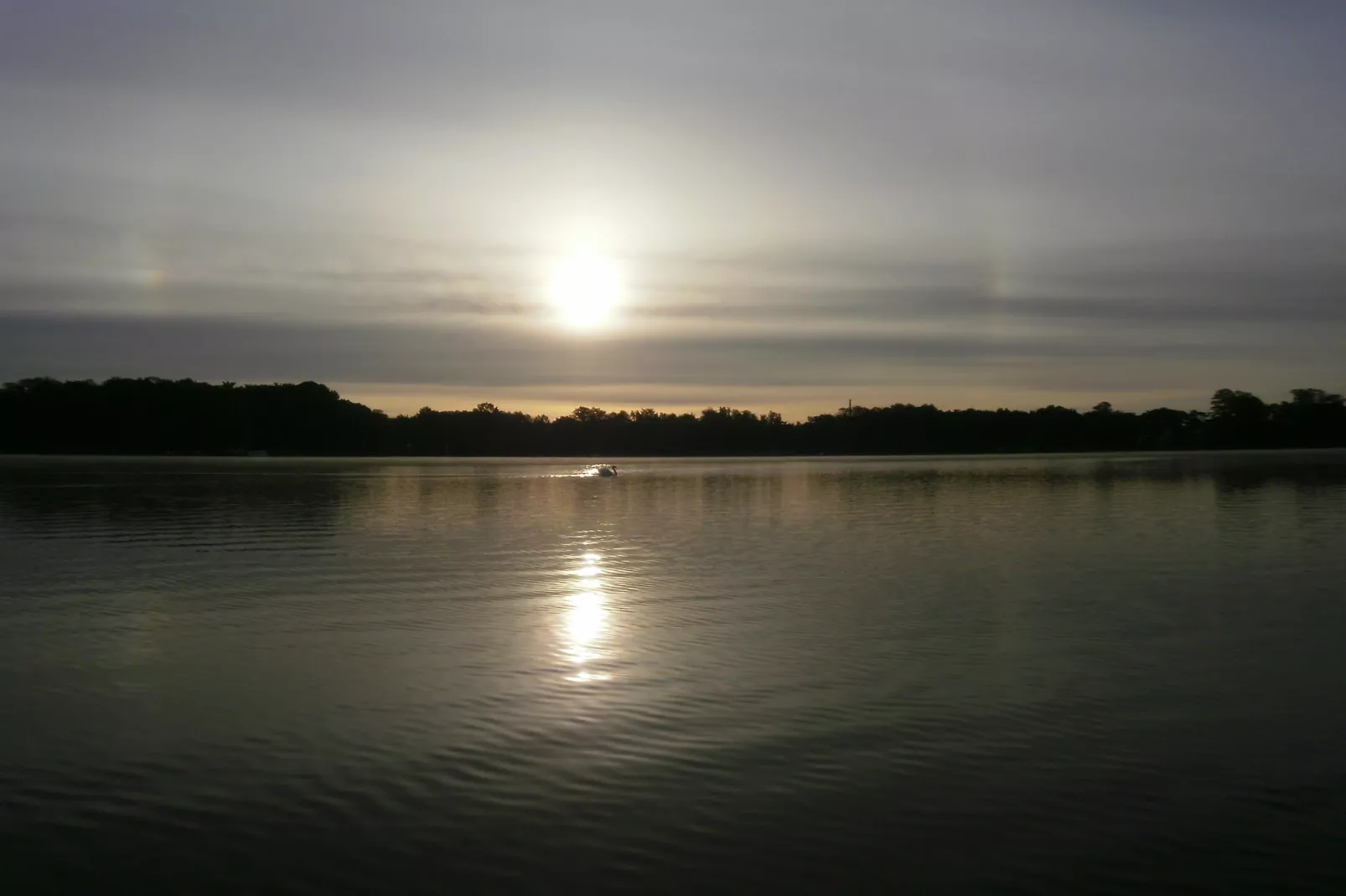Ferienhäuschen in Schwerin-Gebieden zomer 1km
