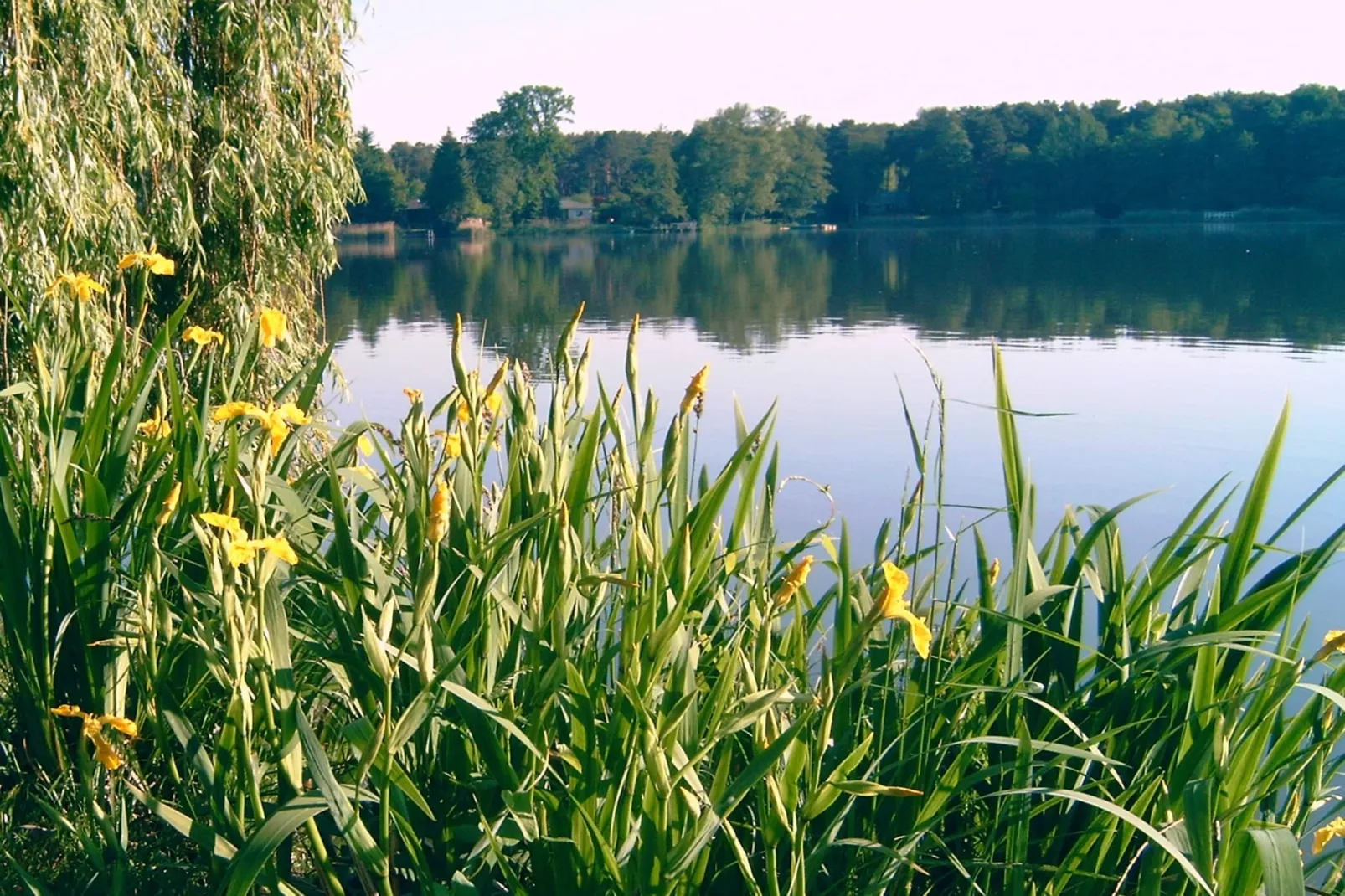 Ferienhäuschen in Schwerin-Gebieden zomer 1km