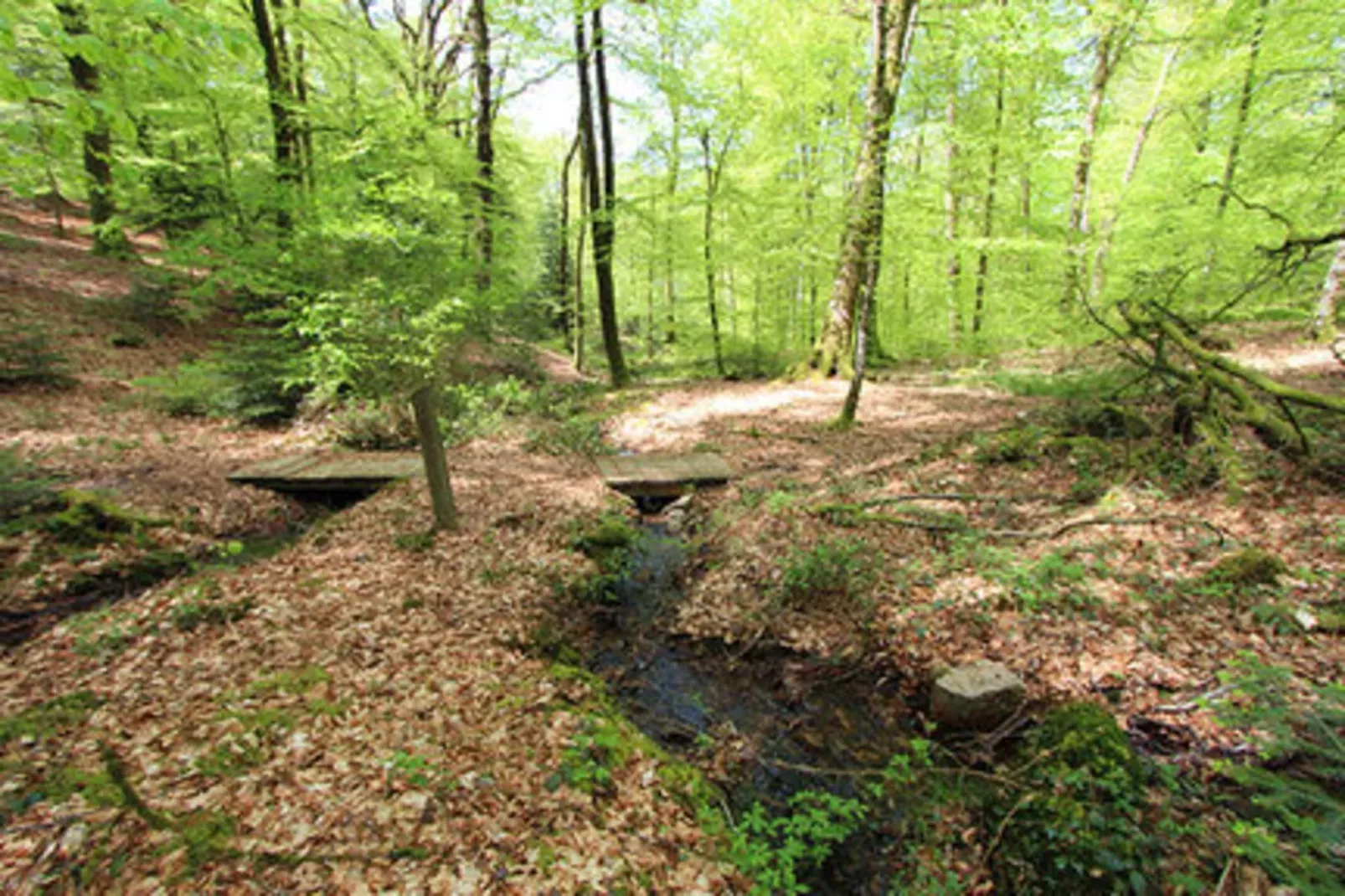 Holiday home Reipertswiller-Gebieden zomer 1km