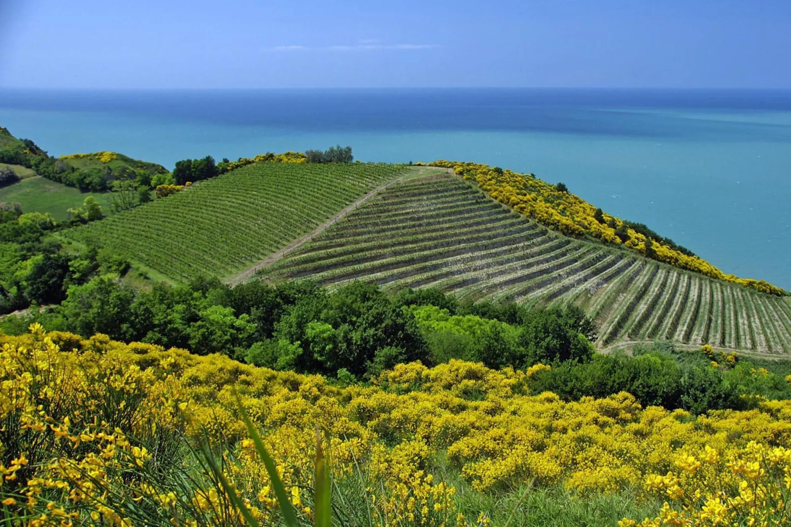 Holiday resort Casa Mare Vallugola die Gabicce, Vallugola-App. 2, Tipo 4-Gebieden zomer 1km