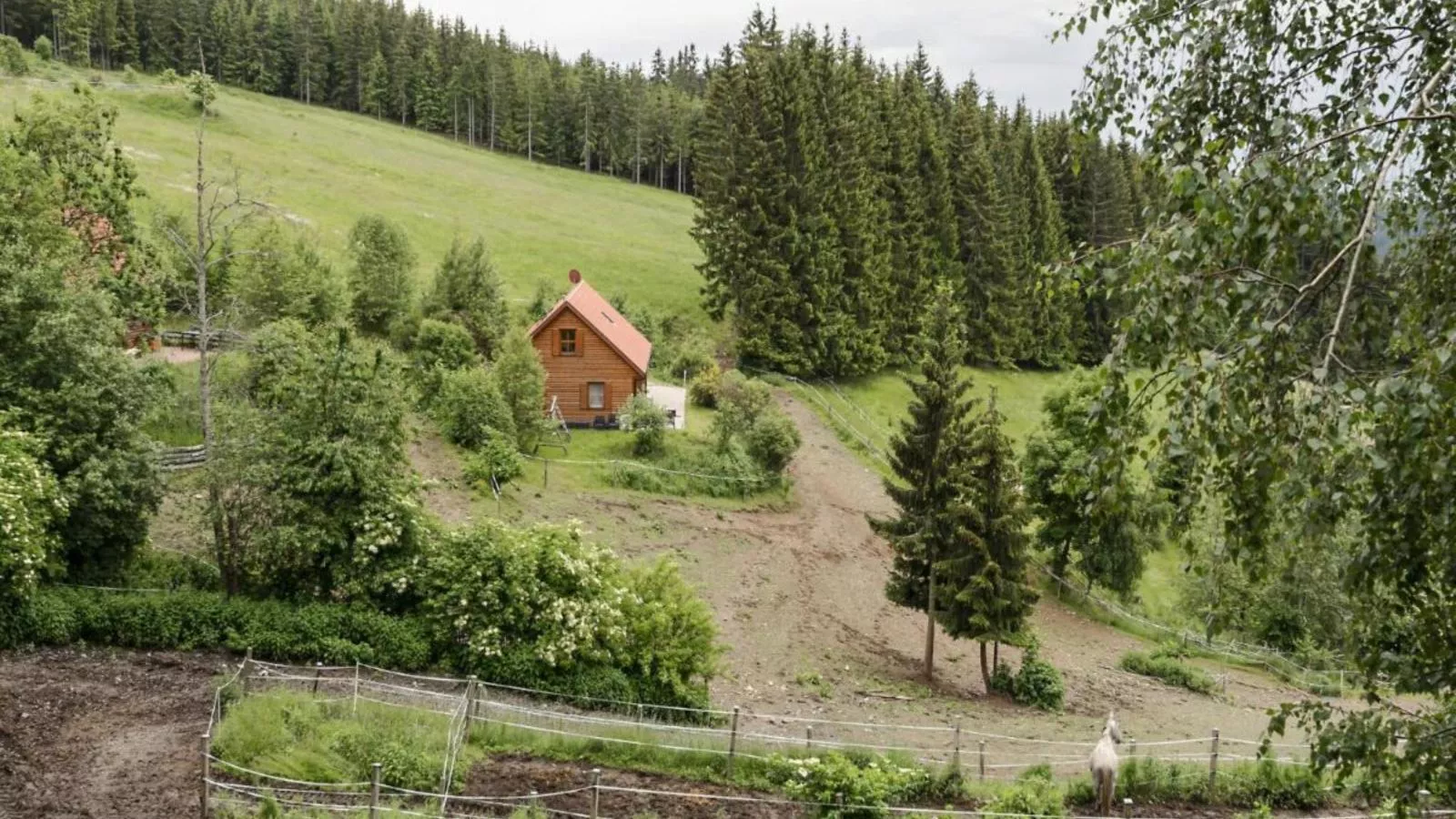 Karawankenpanorama-Gebieden zomer 1km