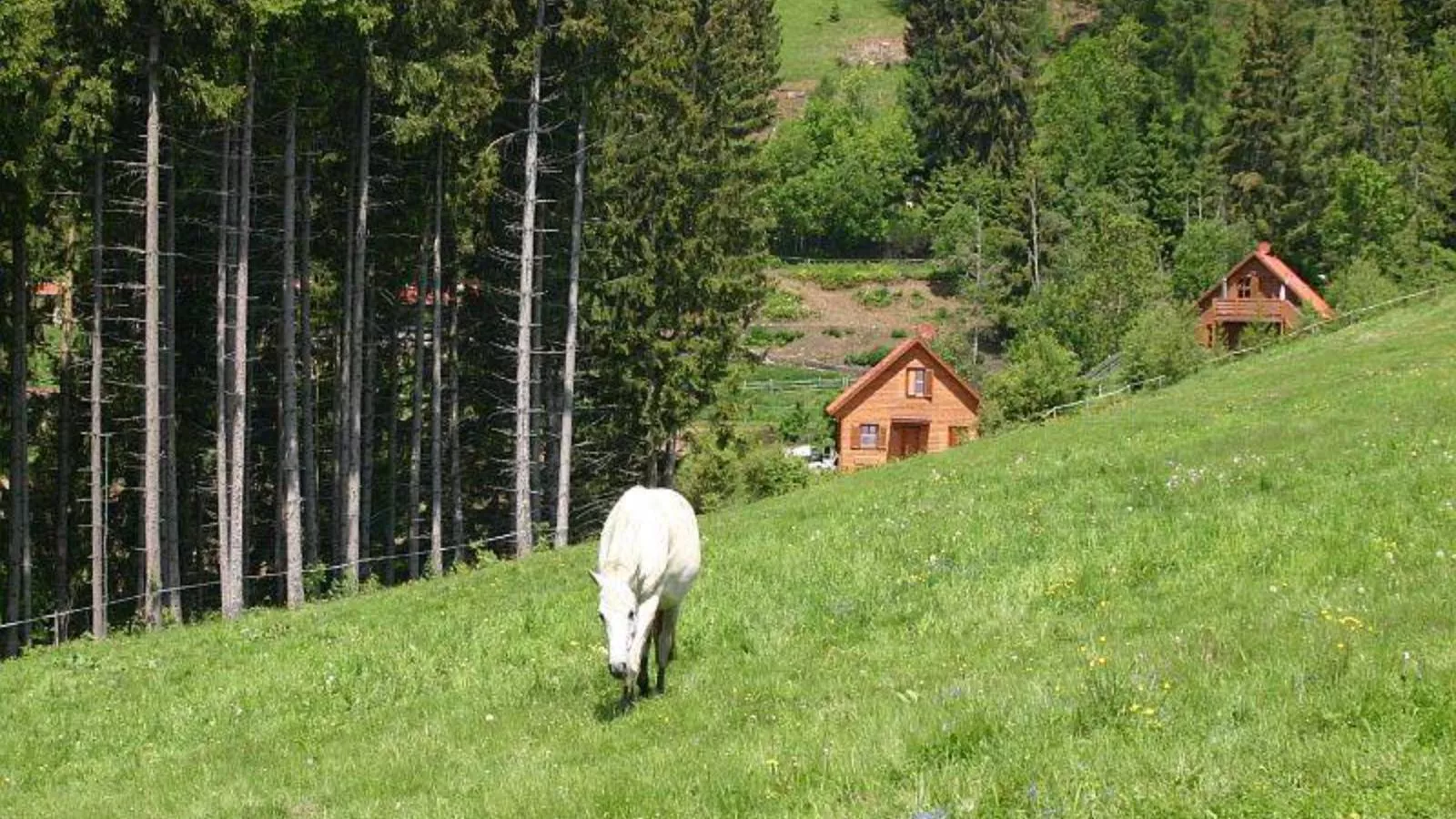 Karawankenpanorama S-Gebieden zomer 1km