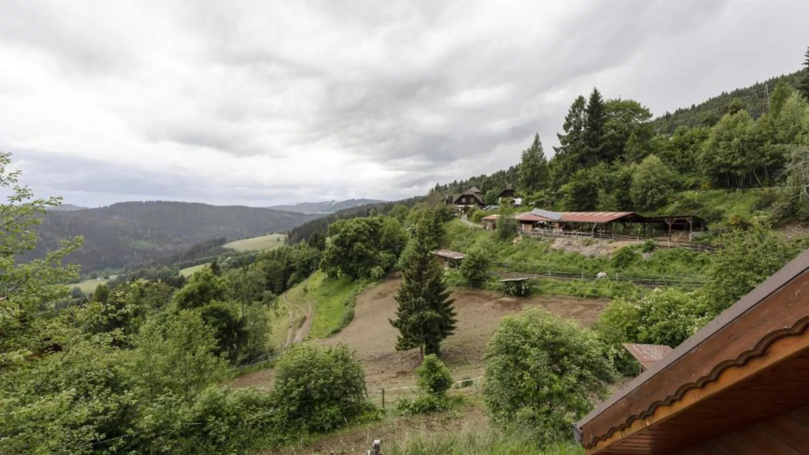 Karawankenpanorama L-Uitzicht zomer