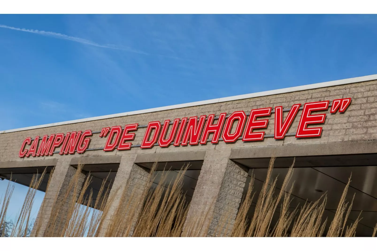 Chalet - Camping de Duinhoeve 'Bosdier'-Buitenkant zomer