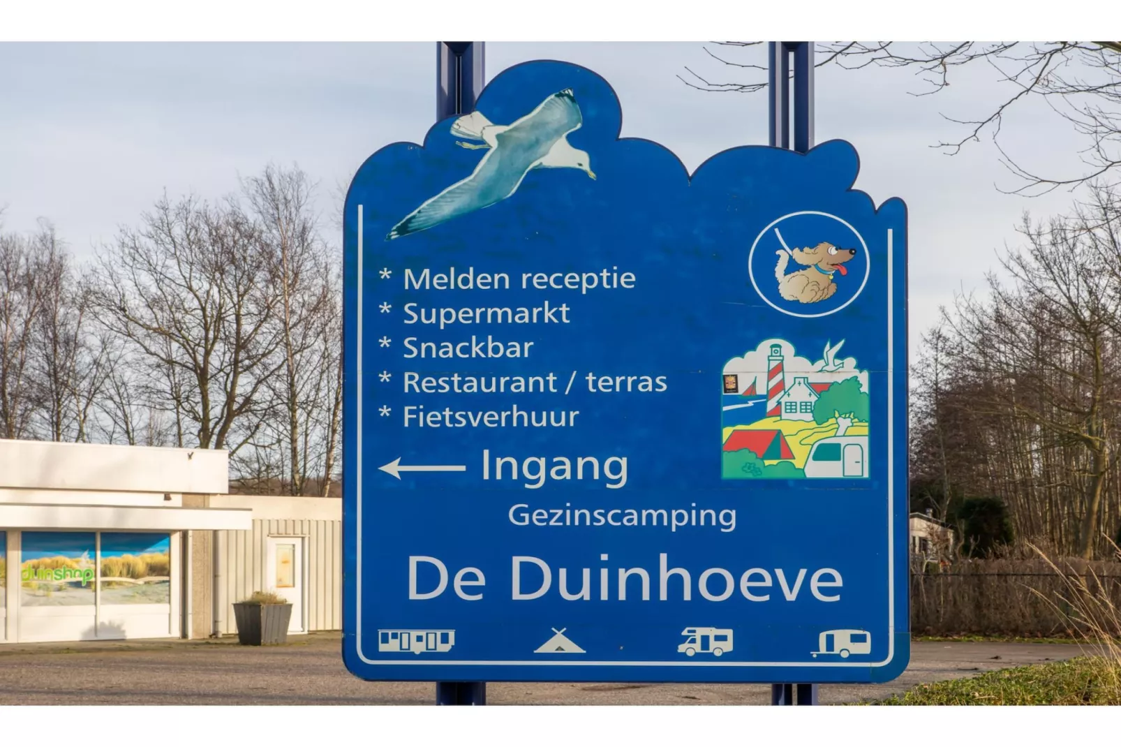 Chalet - Camping de Duinhoeve 'Bosdier'-Gebieden zomer 5km