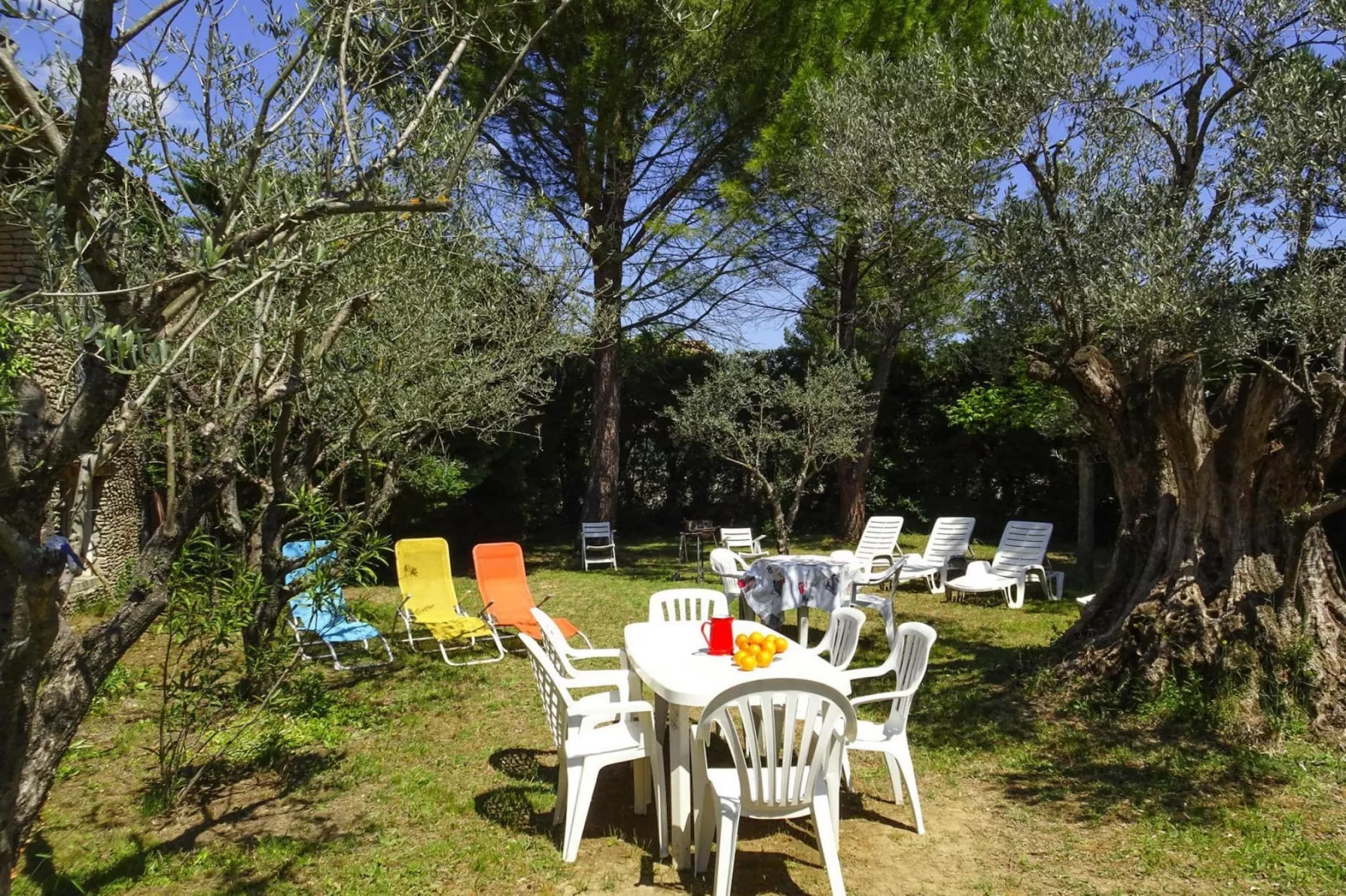 Ferienhaus in Vaison-la-Romaine / L'Olivier-Uitzicht zomer