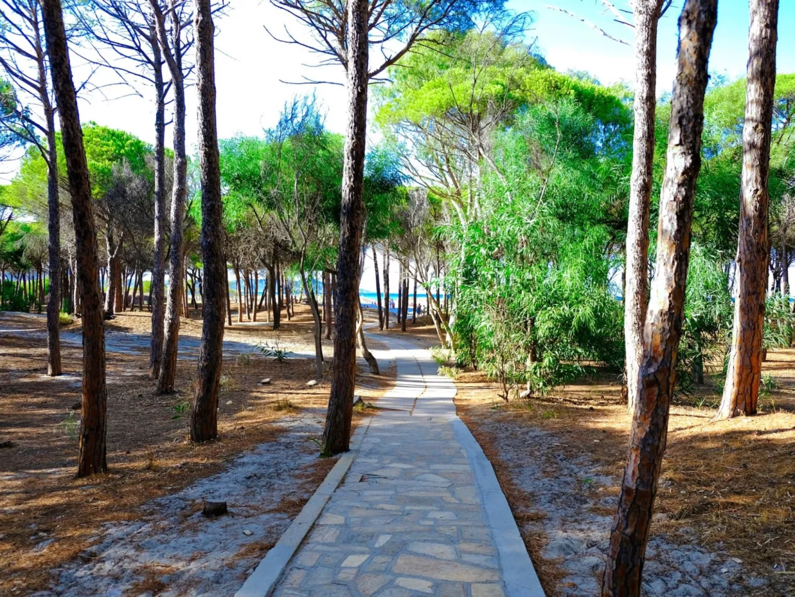 Selema Camping
