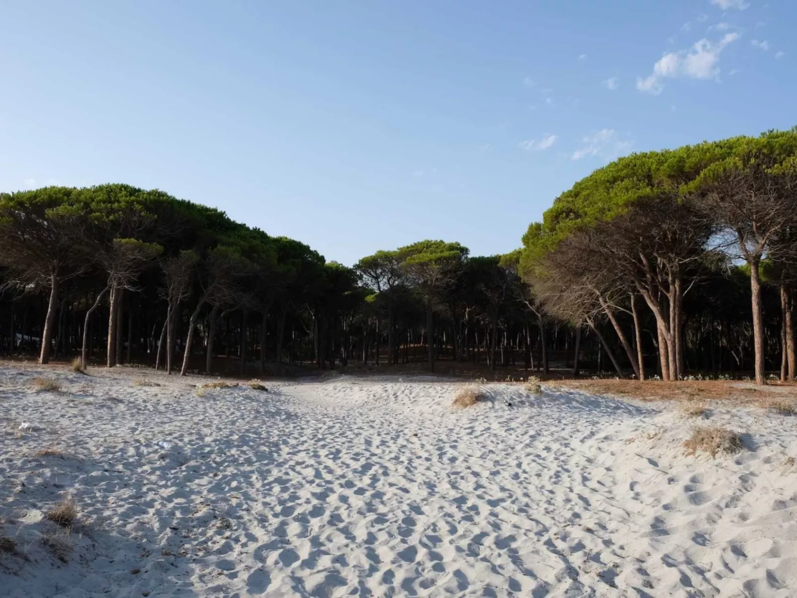 Selema Camping-Buiten