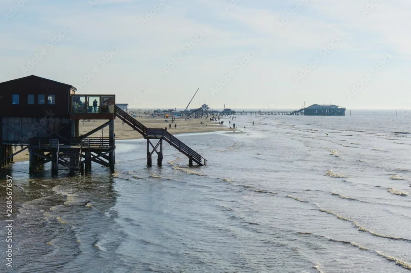 ALVA 0201-Gebieden zomer 1km