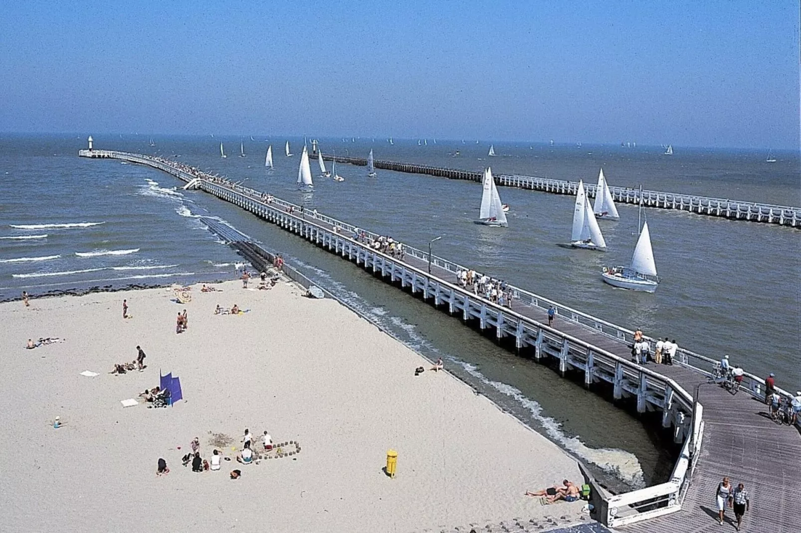 ALVA 0201-Gebieden zomer 20km