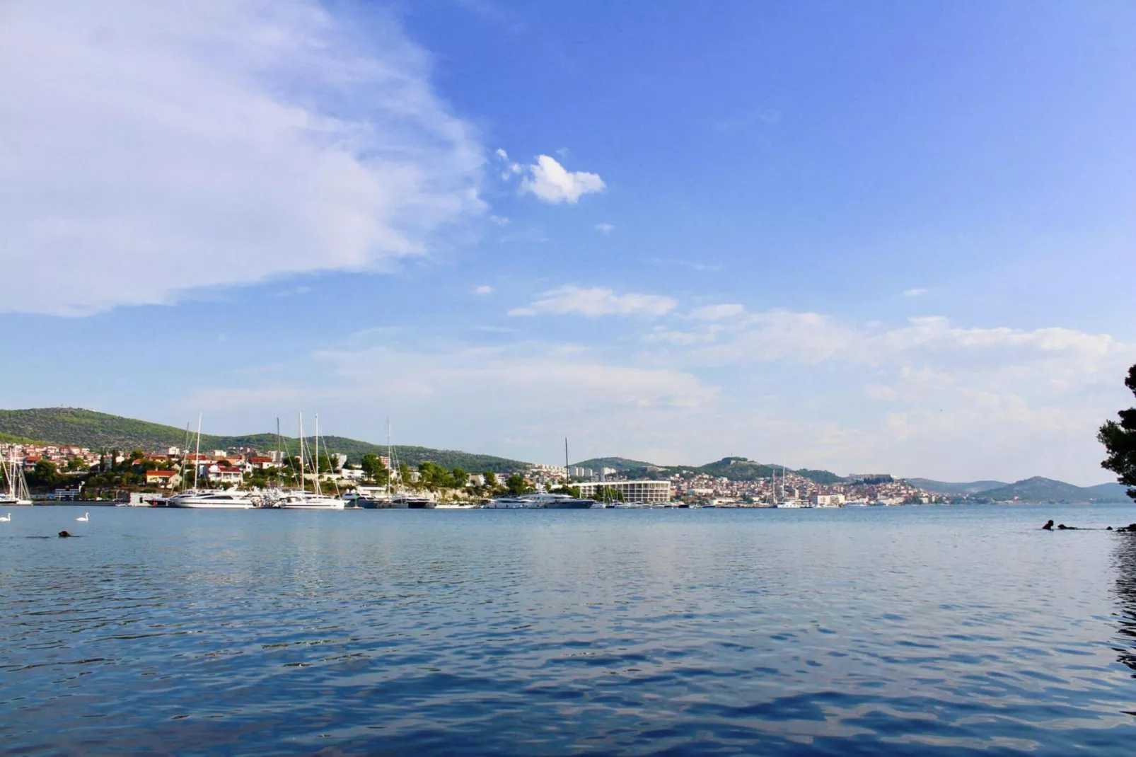 Apartment ALAN Sibenik - Bilice A6-4-Gebieden zomer 1km