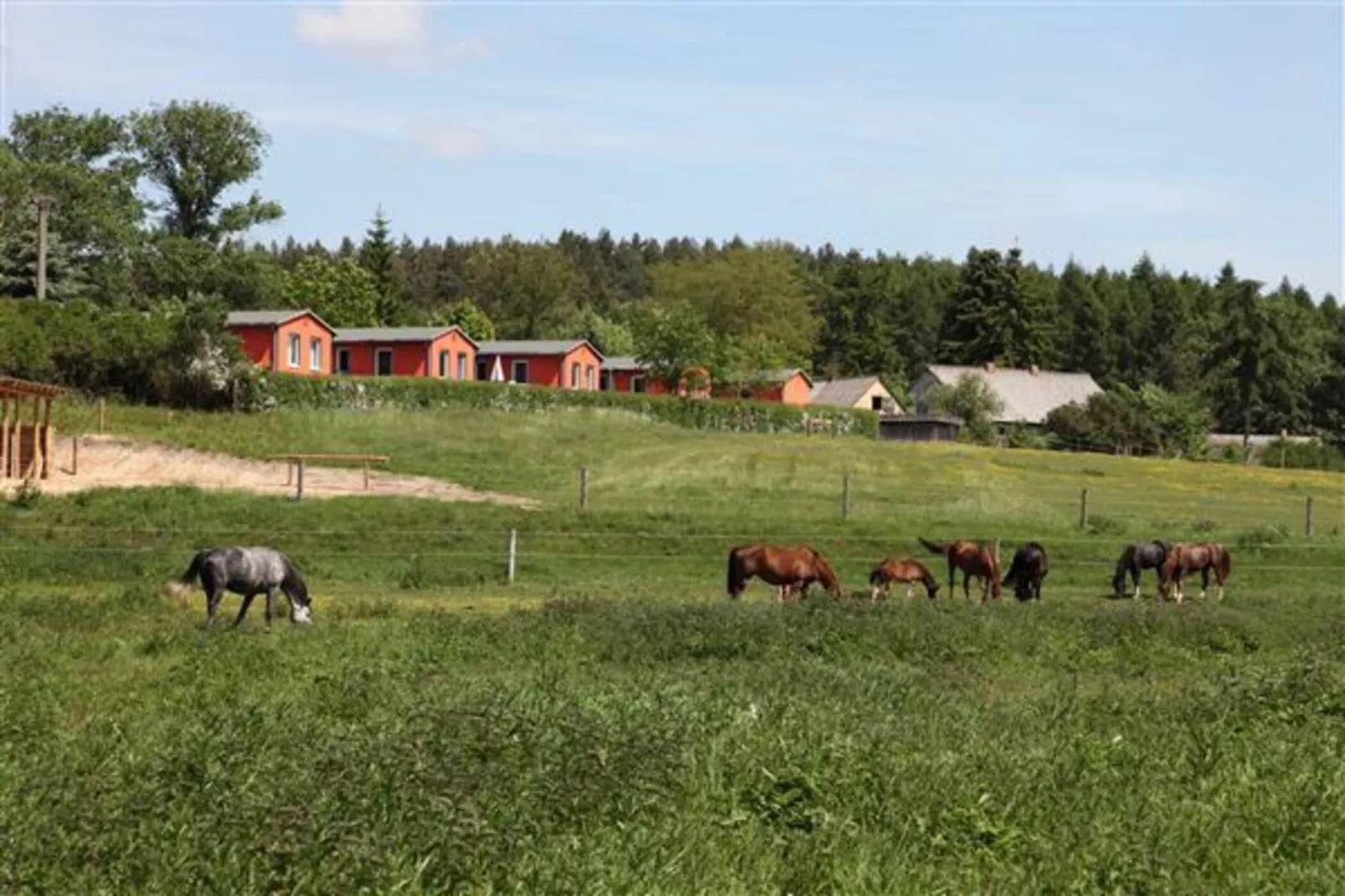 Ferienhäuser Inselblick / Ferienhaus 1 60 qm-Uitzicht
