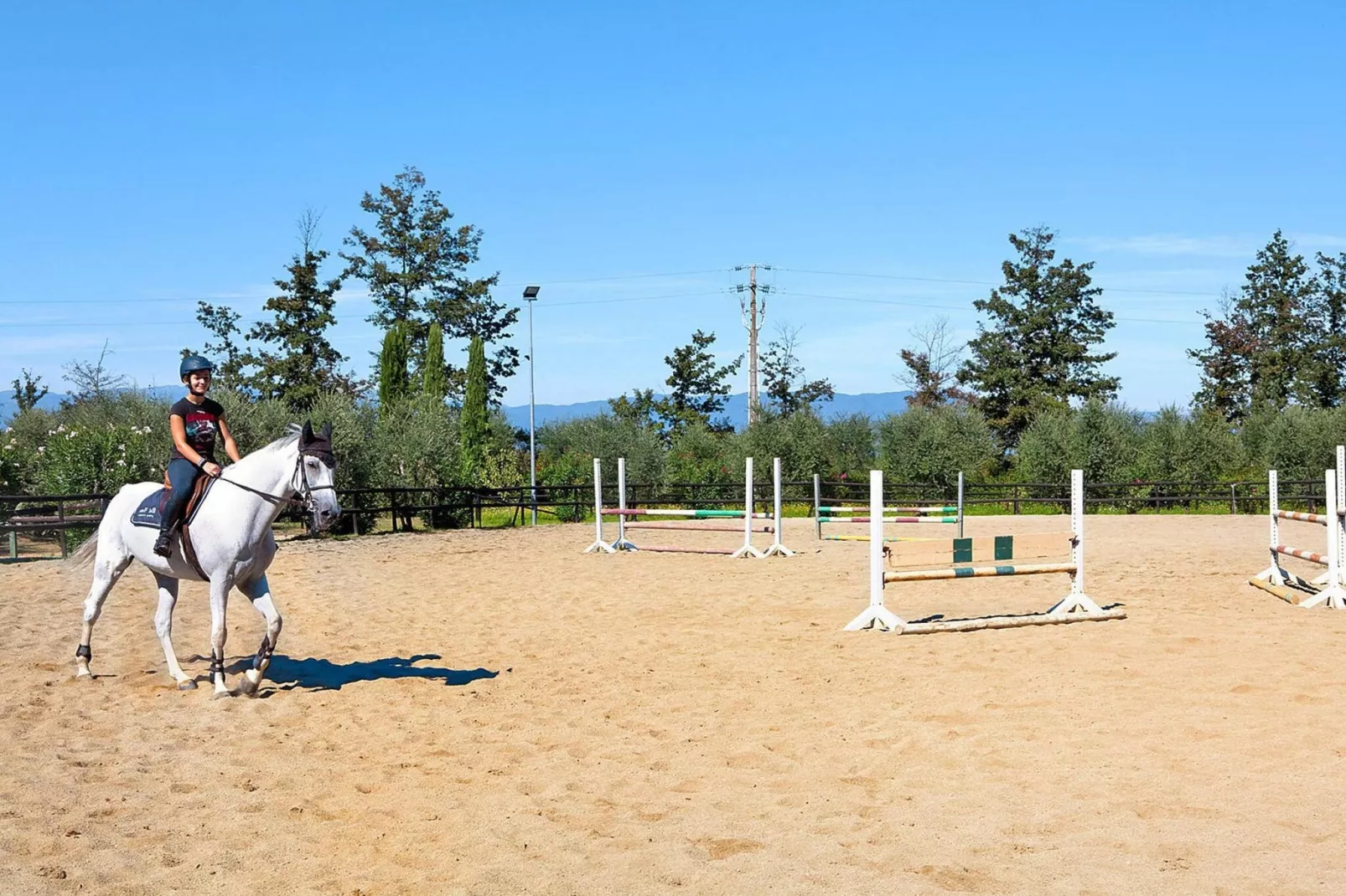 Agri-tourism Borgo Pinete, Pinete Fucecchio-Trilo, Typ 4, 1-6 Pax-Gebieden zomer 1km