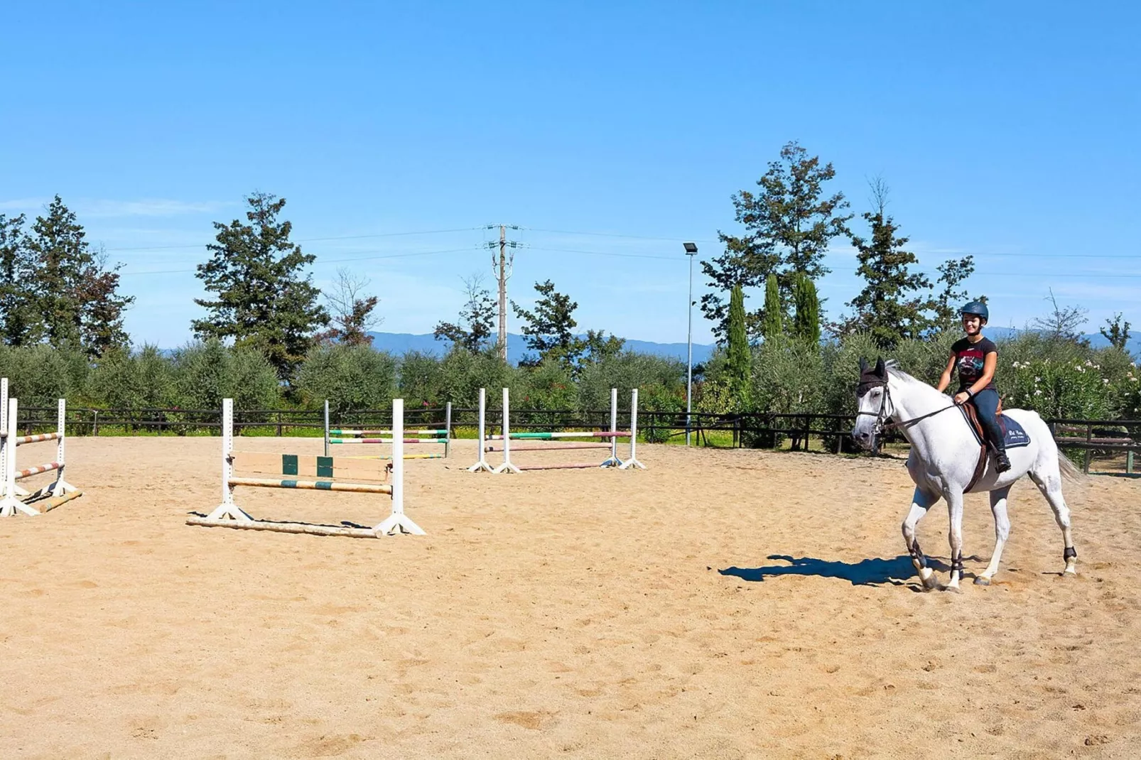 Agri-tourism Borgo Pinete, Pinete Fucecchio-Trilo, Typ 4, 1-6 Pax-Gebieden zomer 1km