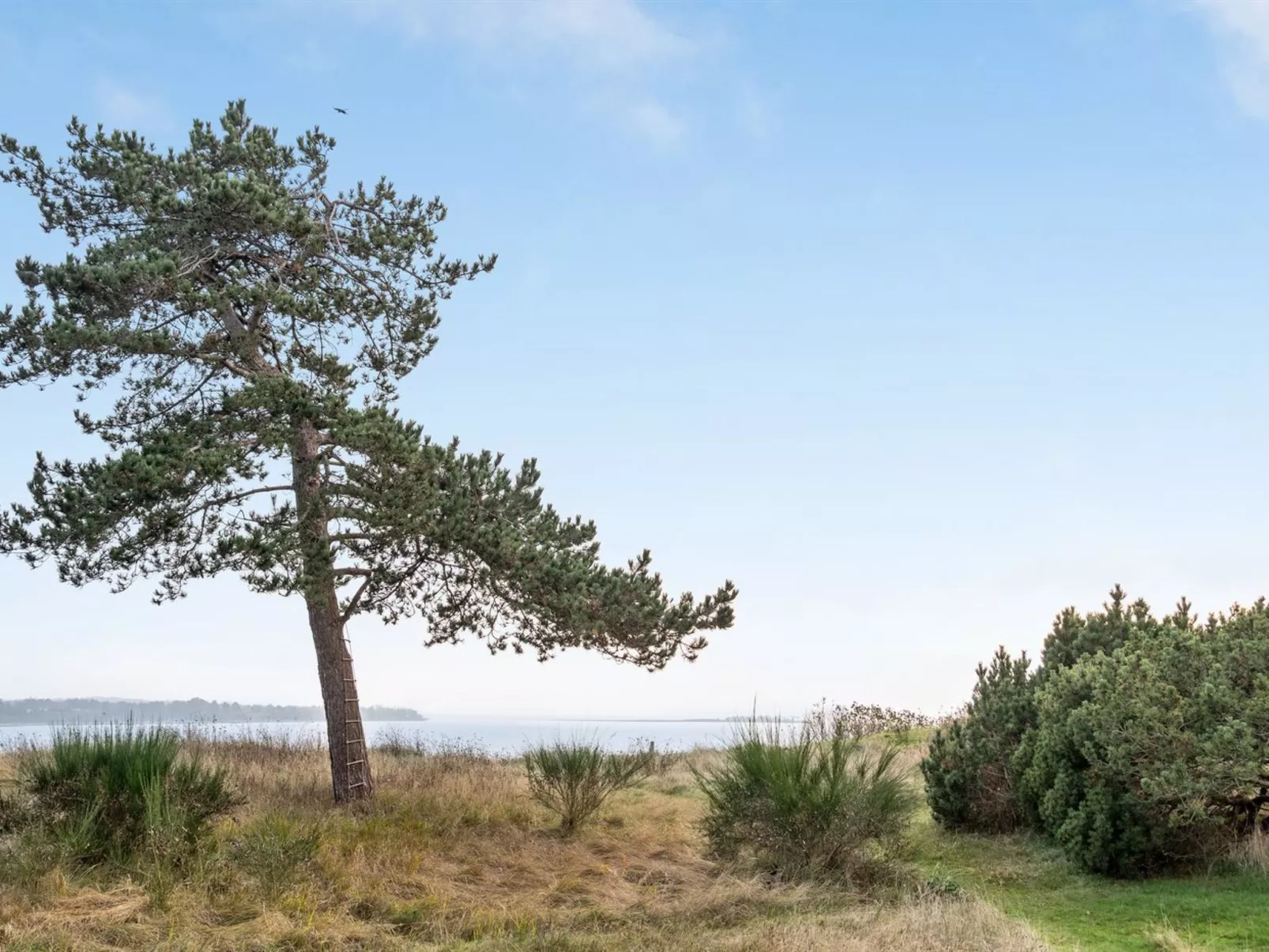"Bosilka" - 75m from the sea-Buiten