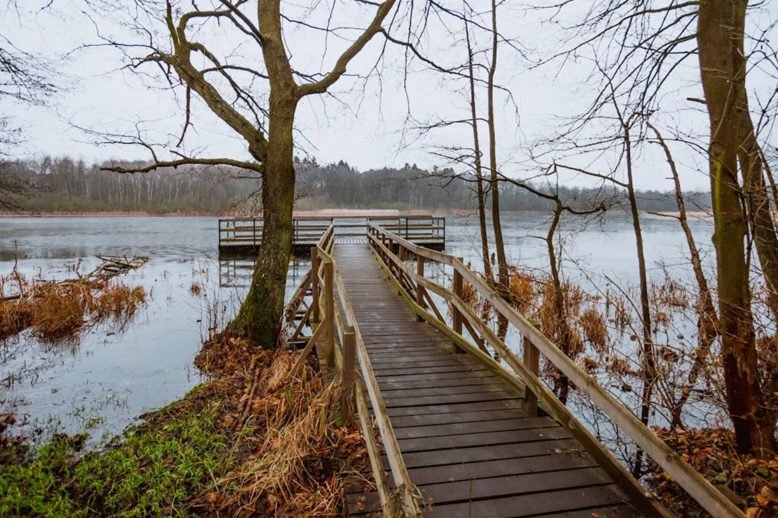 Ferienwohnung am Goldberger See-Gebieden zomer 5km