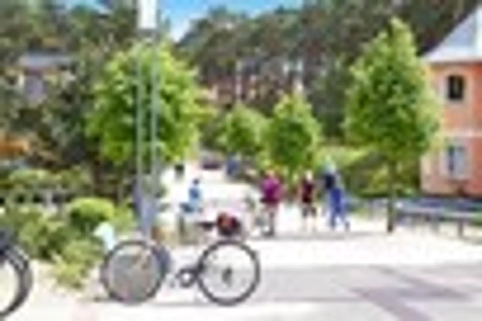 Ferienhaus in Trassenheide-Gebieden zomer 1km