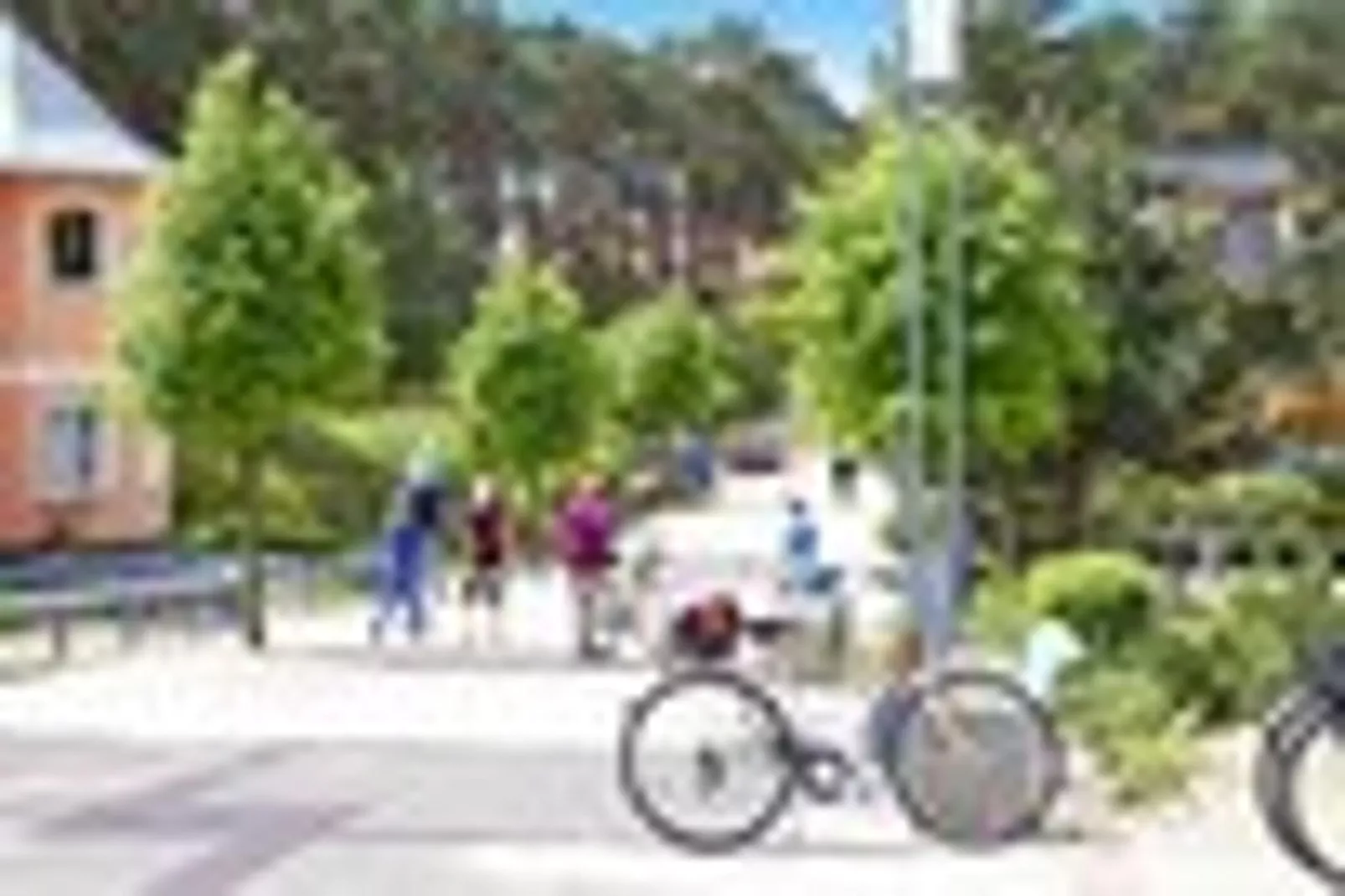 Ferienhaus in Trassenheide-Gebieden zomer 1km