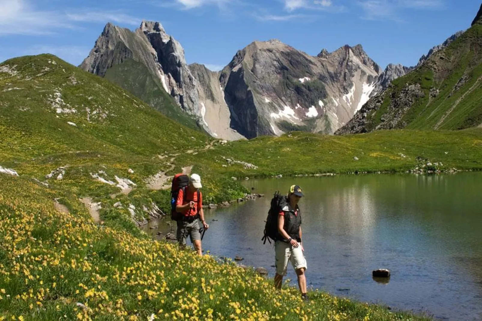 Haus Schedler - Wiesenblick-Gebieden zomer 5km